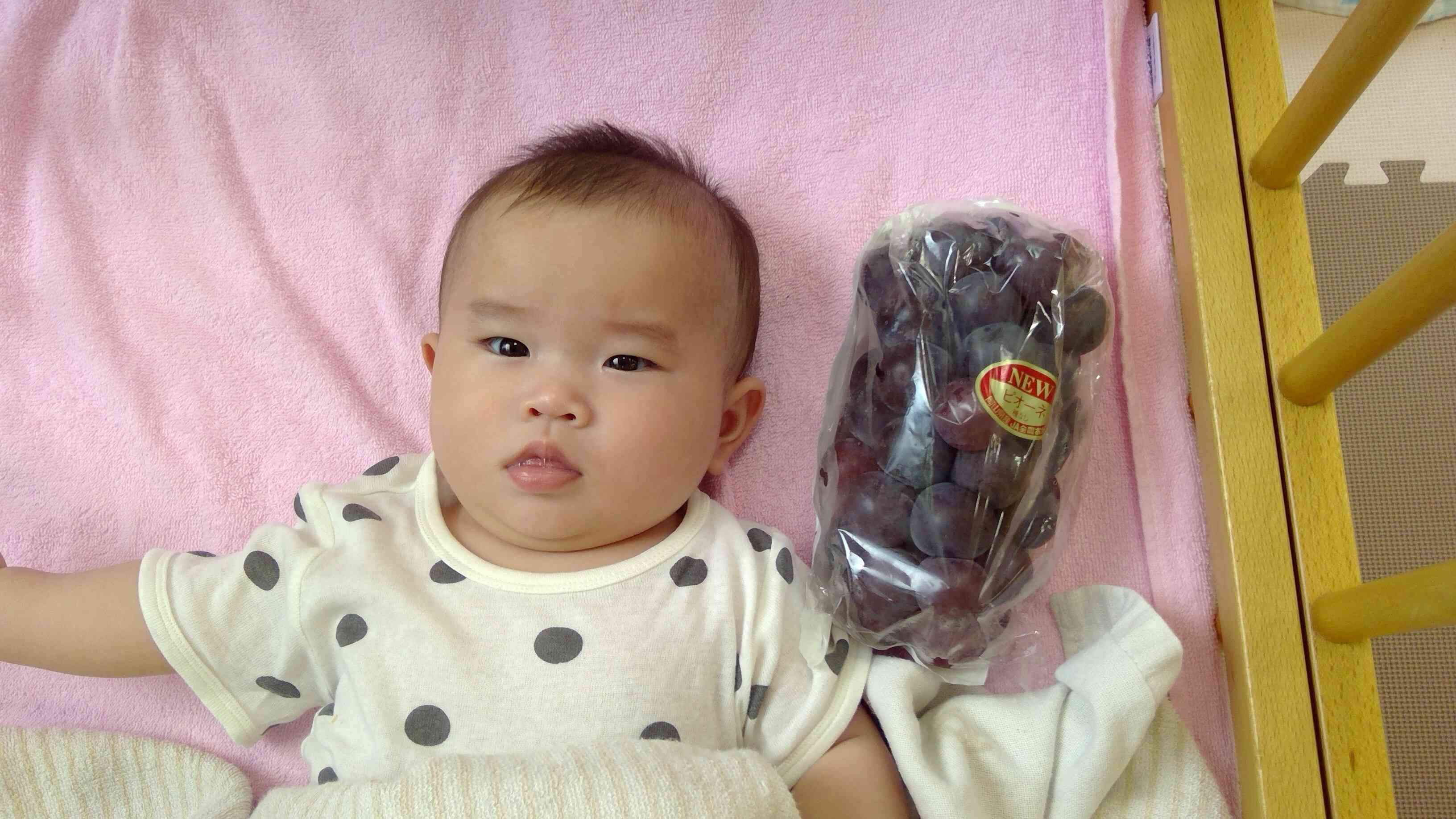 食欲の秋到来