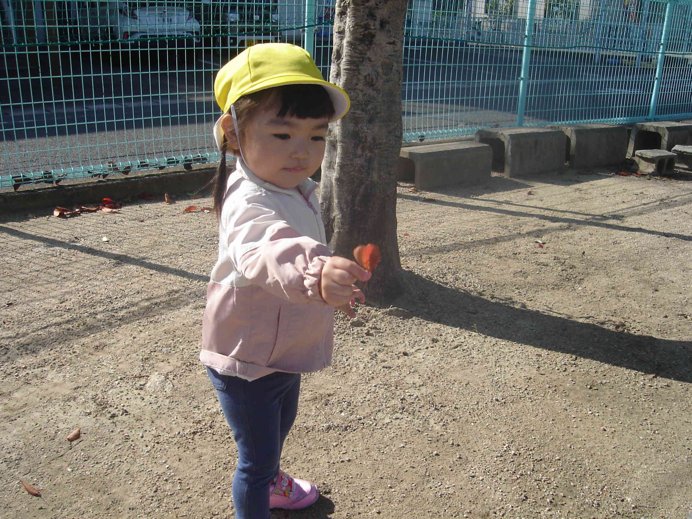 きれいな葉っぱをみつけたよ