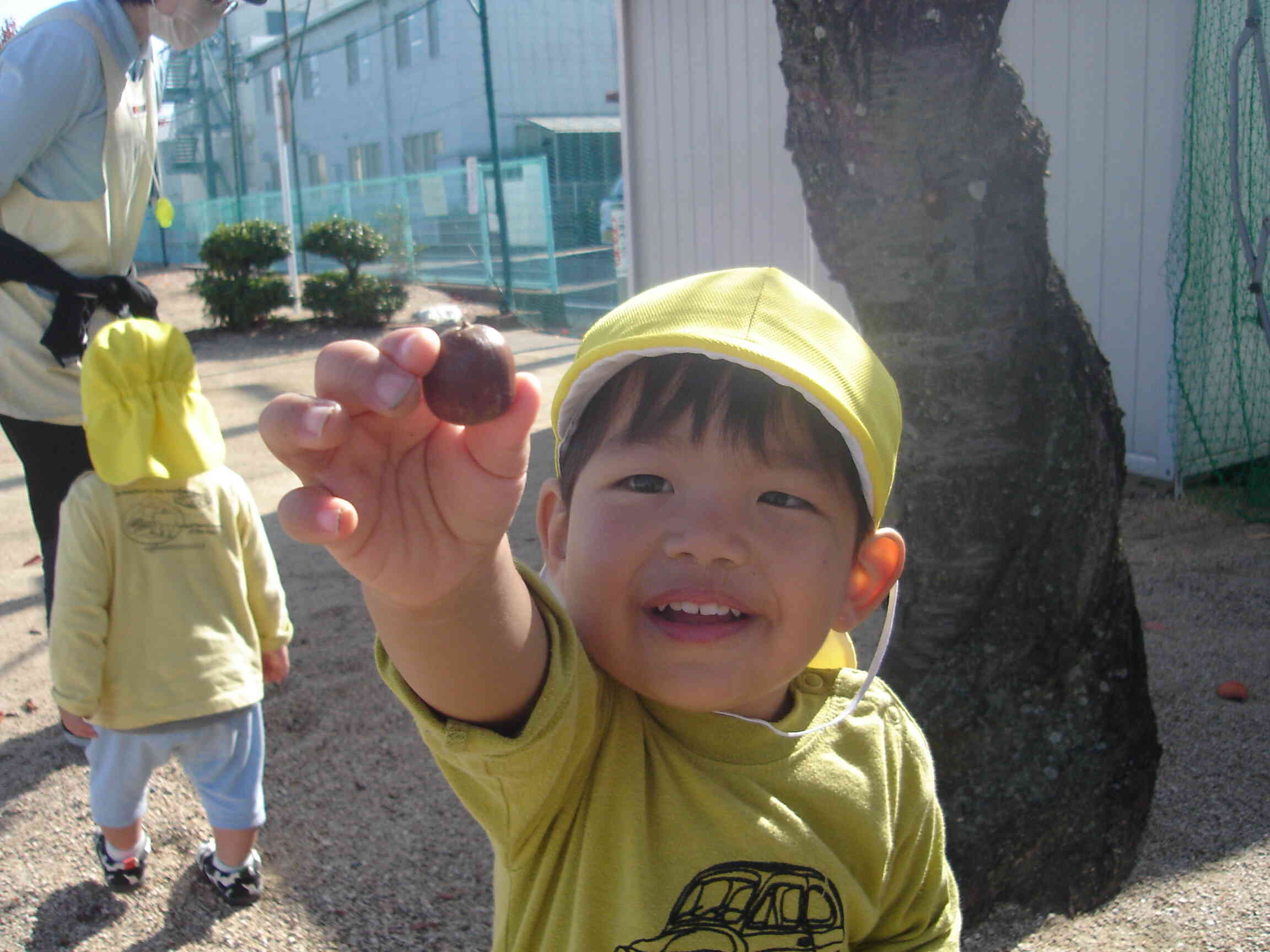 見て～。どんぐりあった。