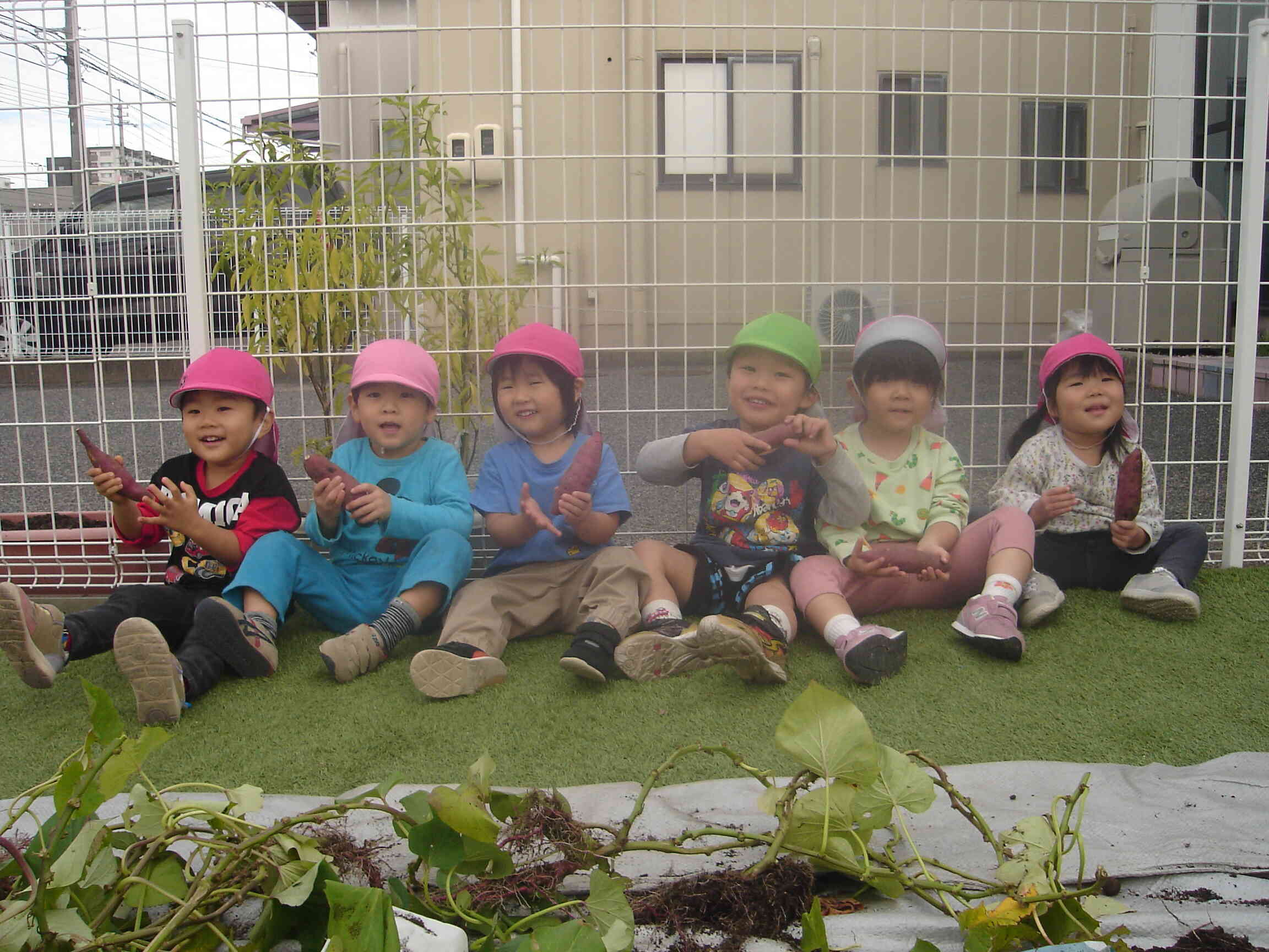 全員分のお芋が掘れました