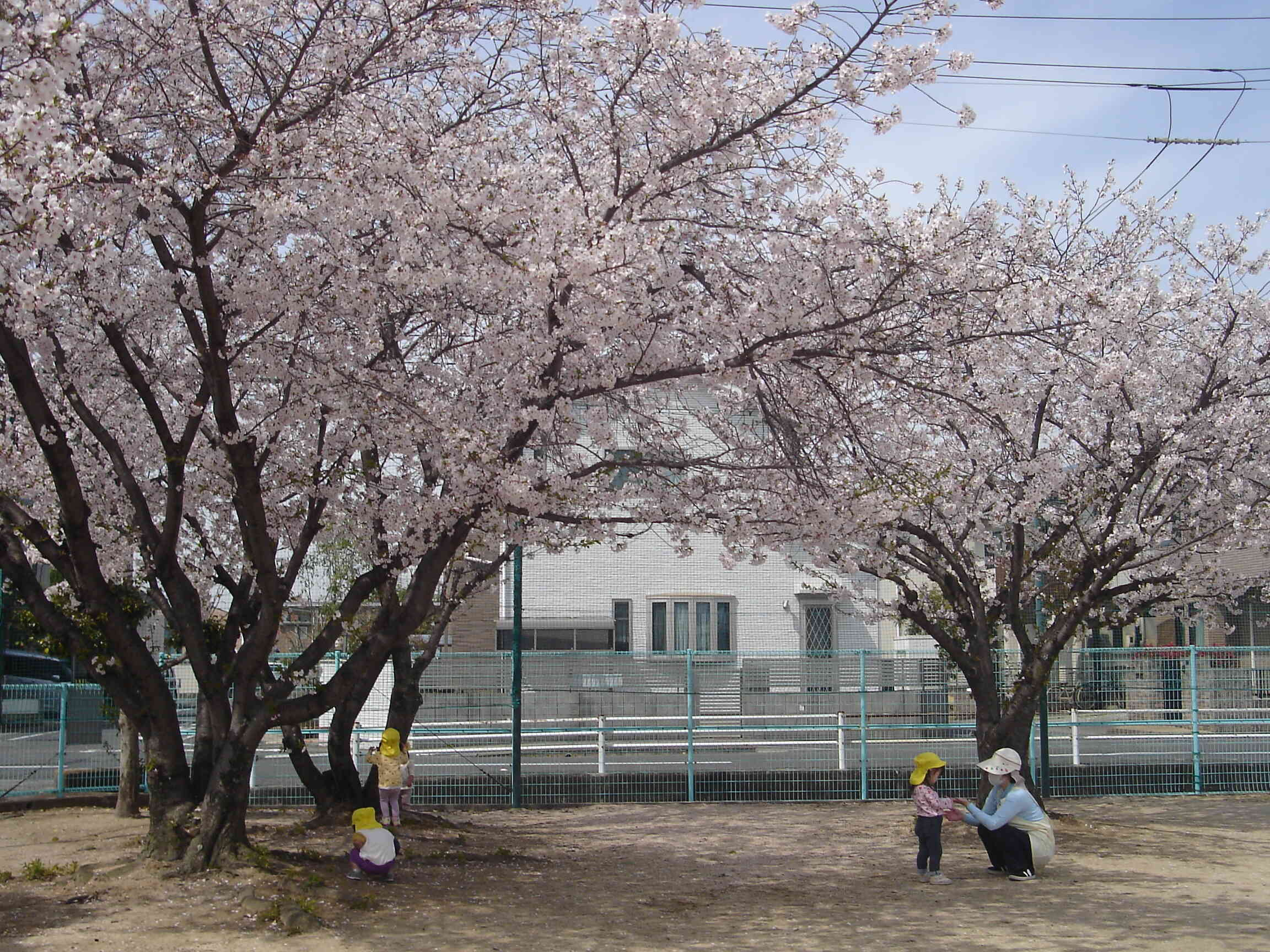 お散歩に行ってきました