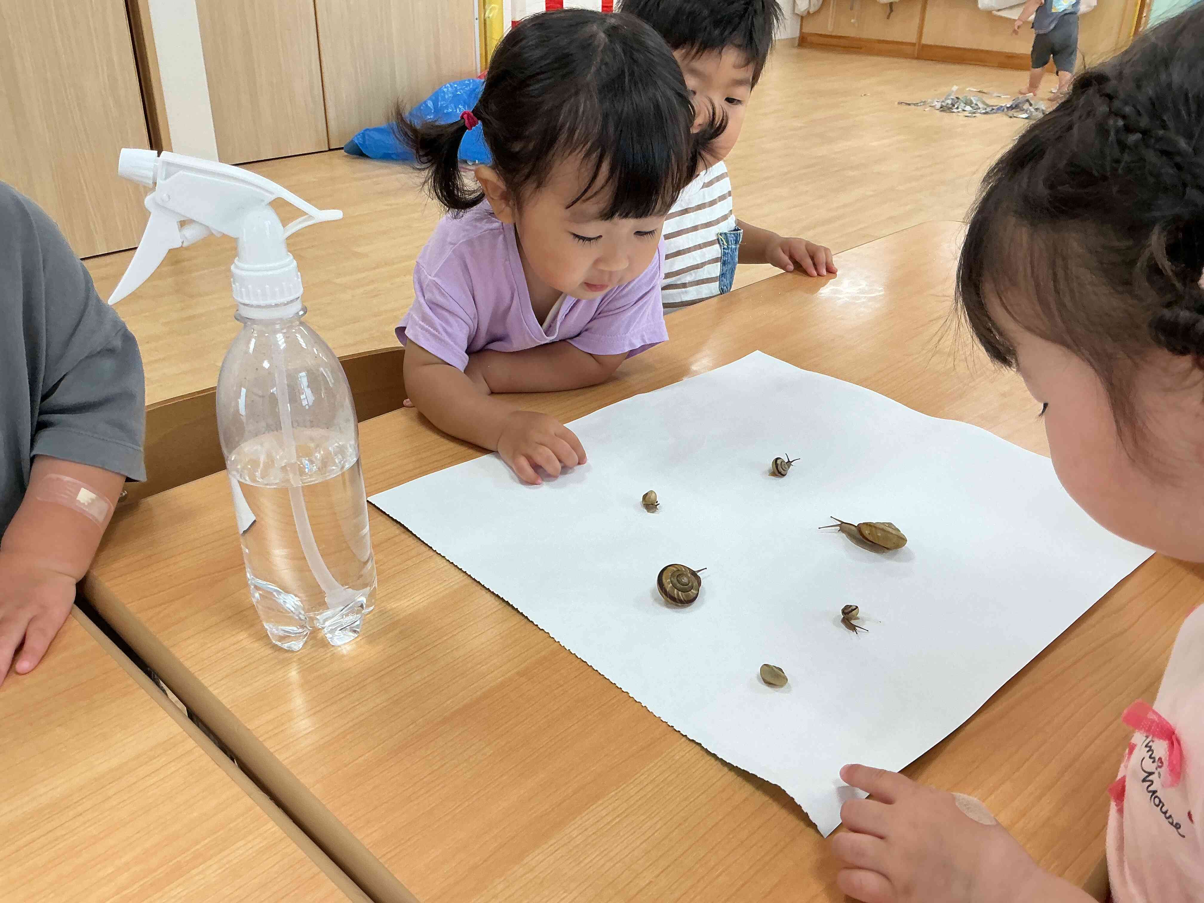 かたつむり観察会