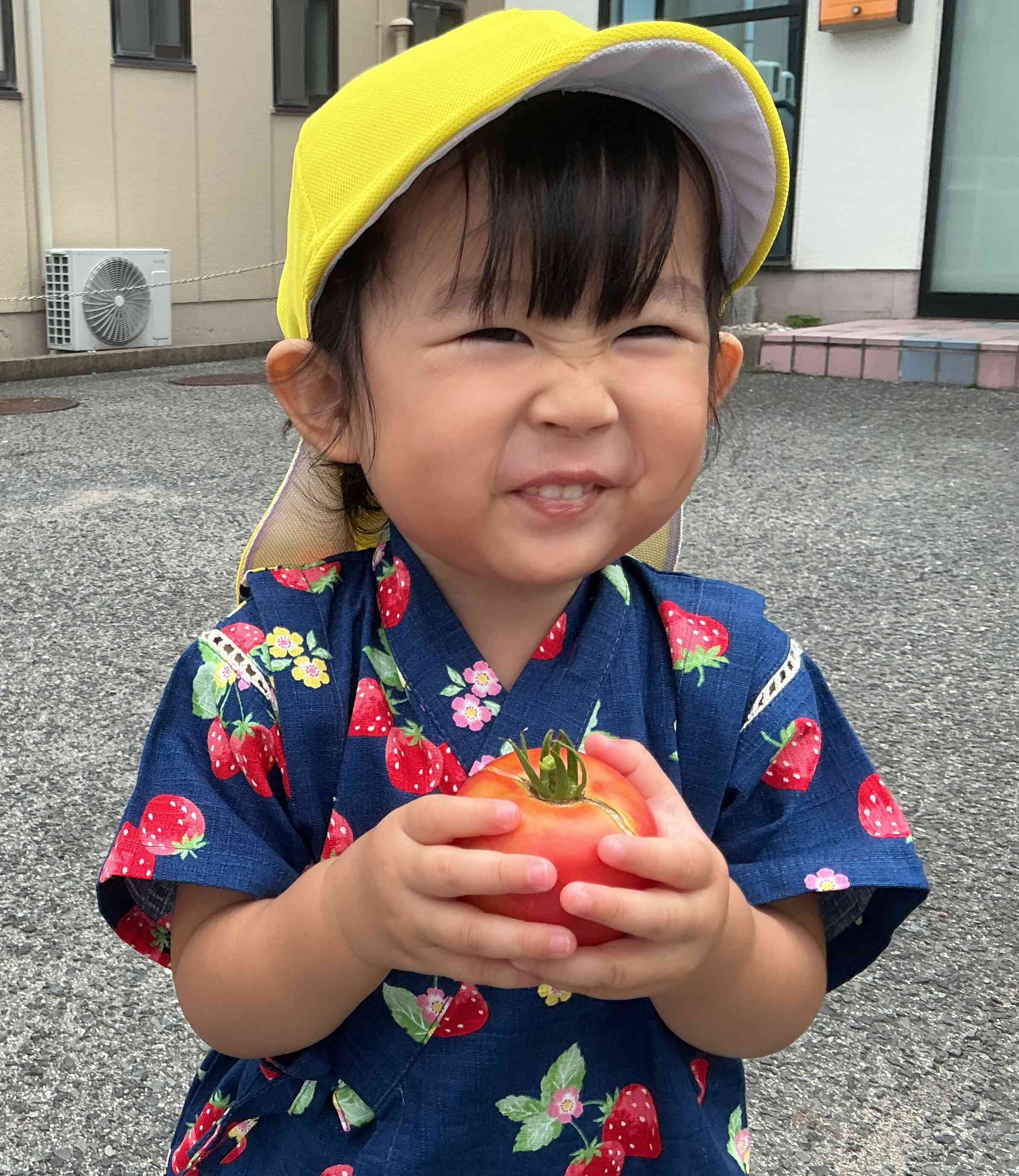 夏野菜の収穫