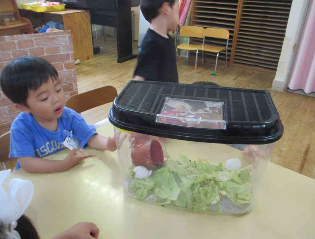 たんぽぽ組の様子（3歳児）