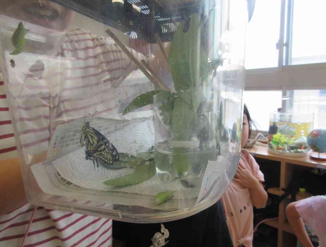 そして、ついに！