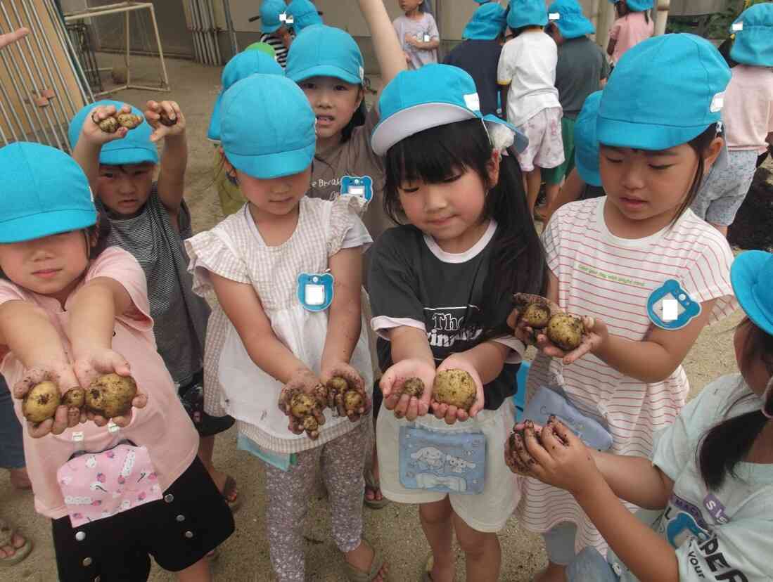 白ききょう組の様子（5歳児）