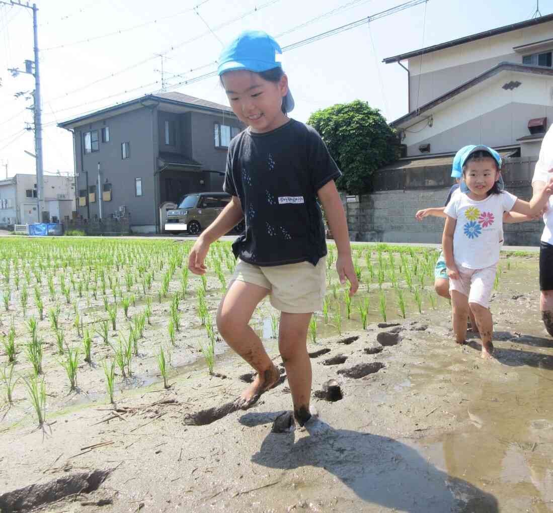 田植えをしました