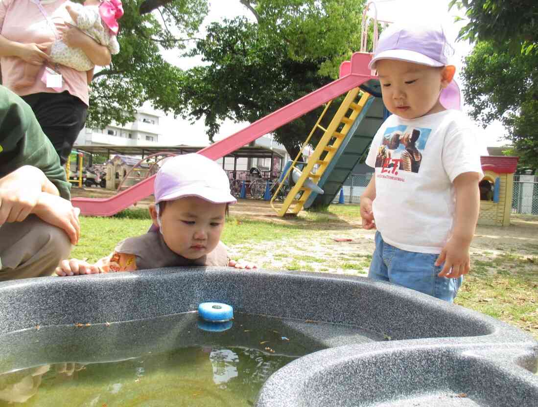 めだかに興味津々！「さかな、おったね」と指をさして教えてくれます。