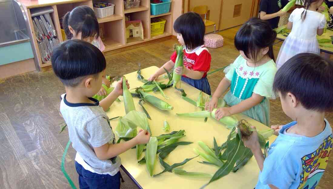 とうもろこしの皮むき（4歳児）