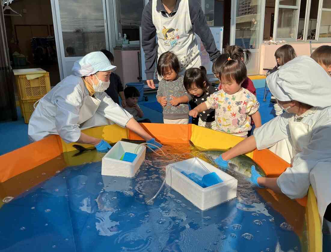 大きな魚がやってきました！