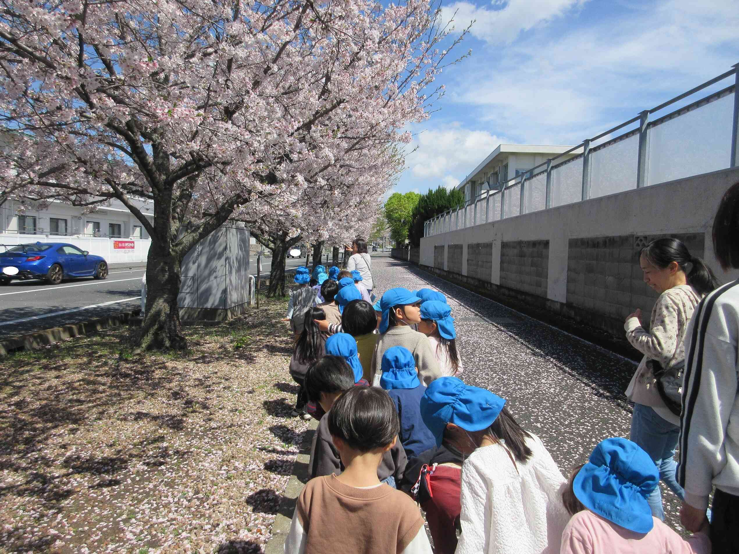 お散歩（年長クラス）