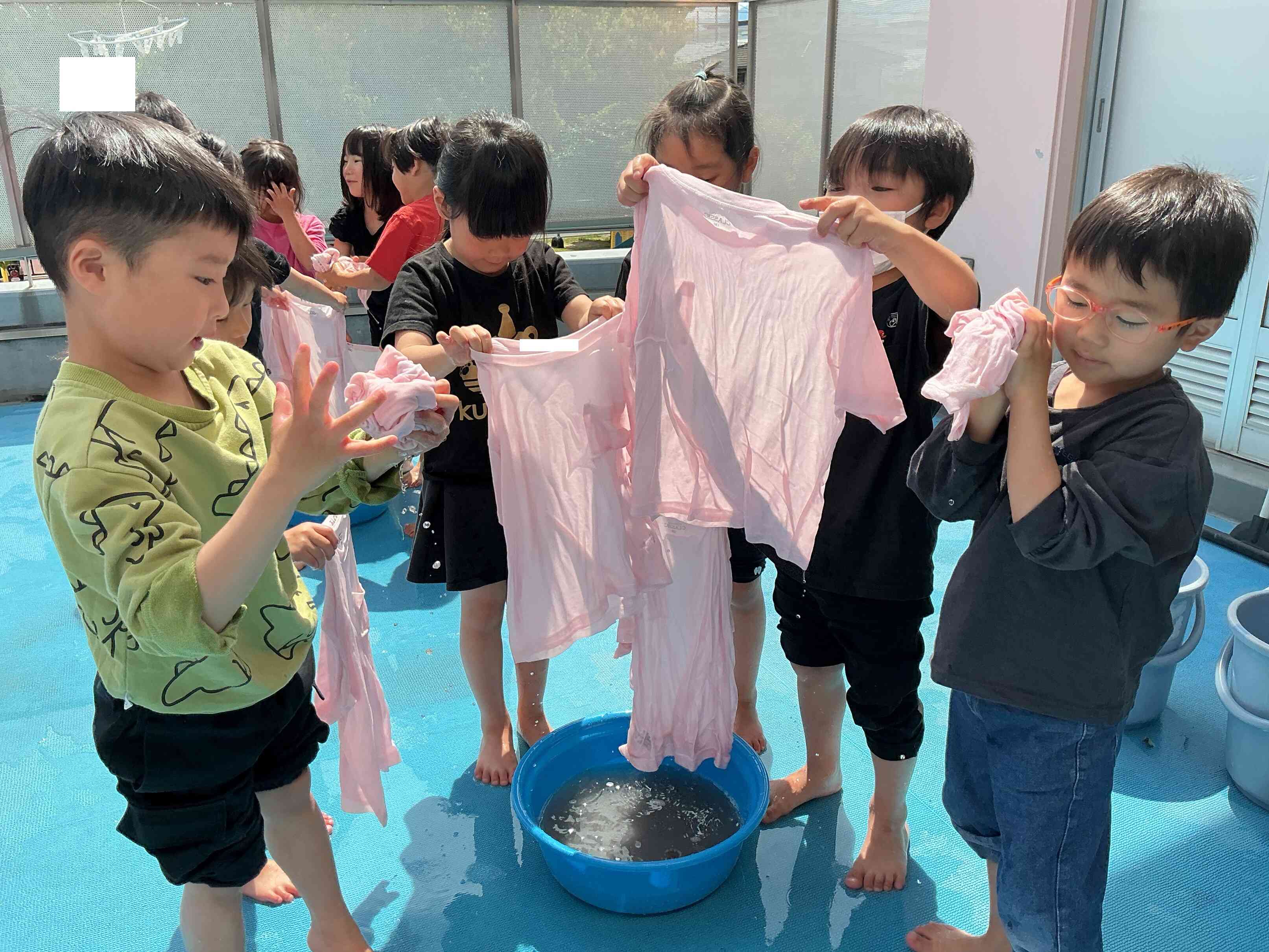 桜染めに挑戦!(年長組)