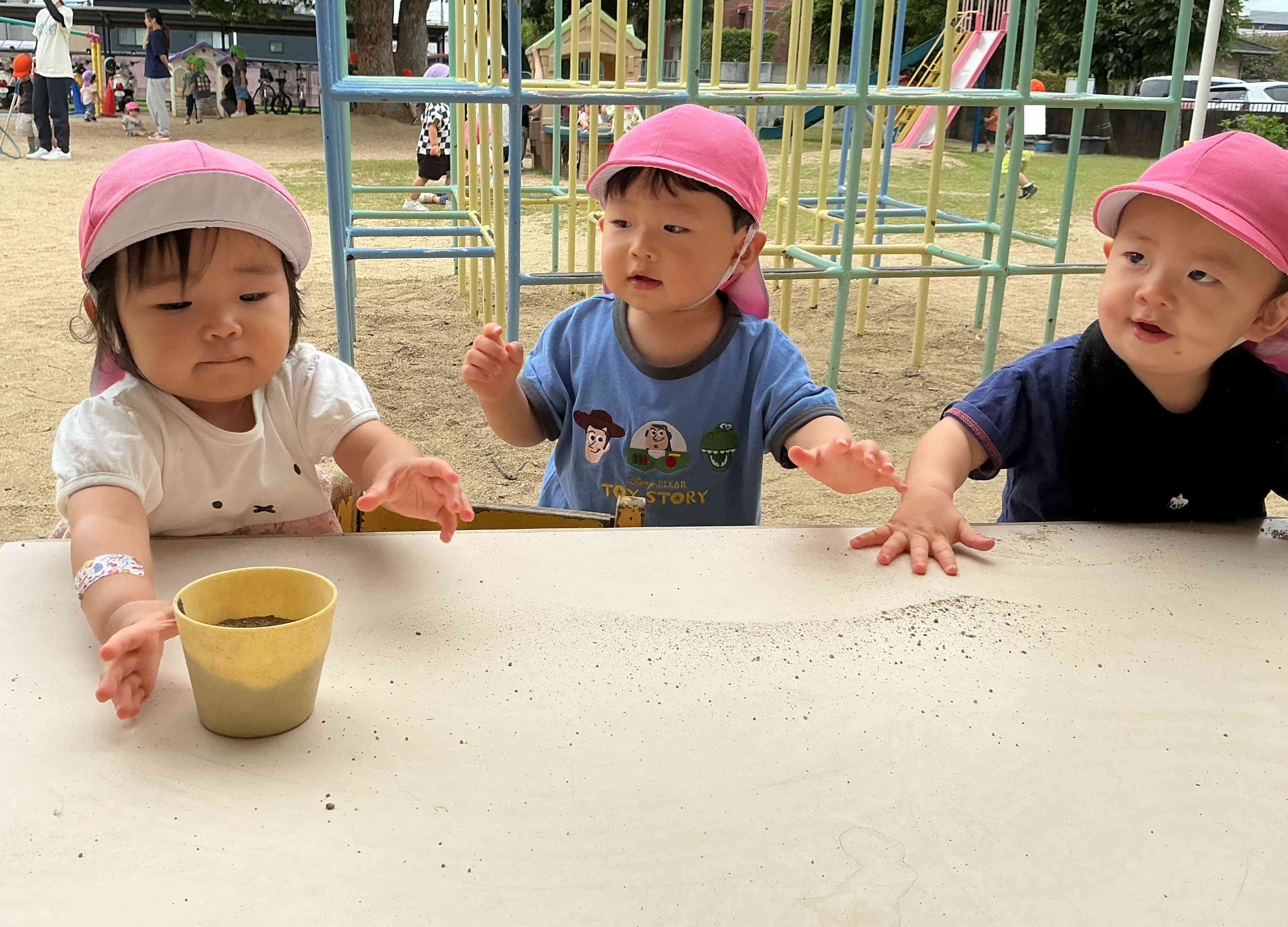 はい!どうぞ!
