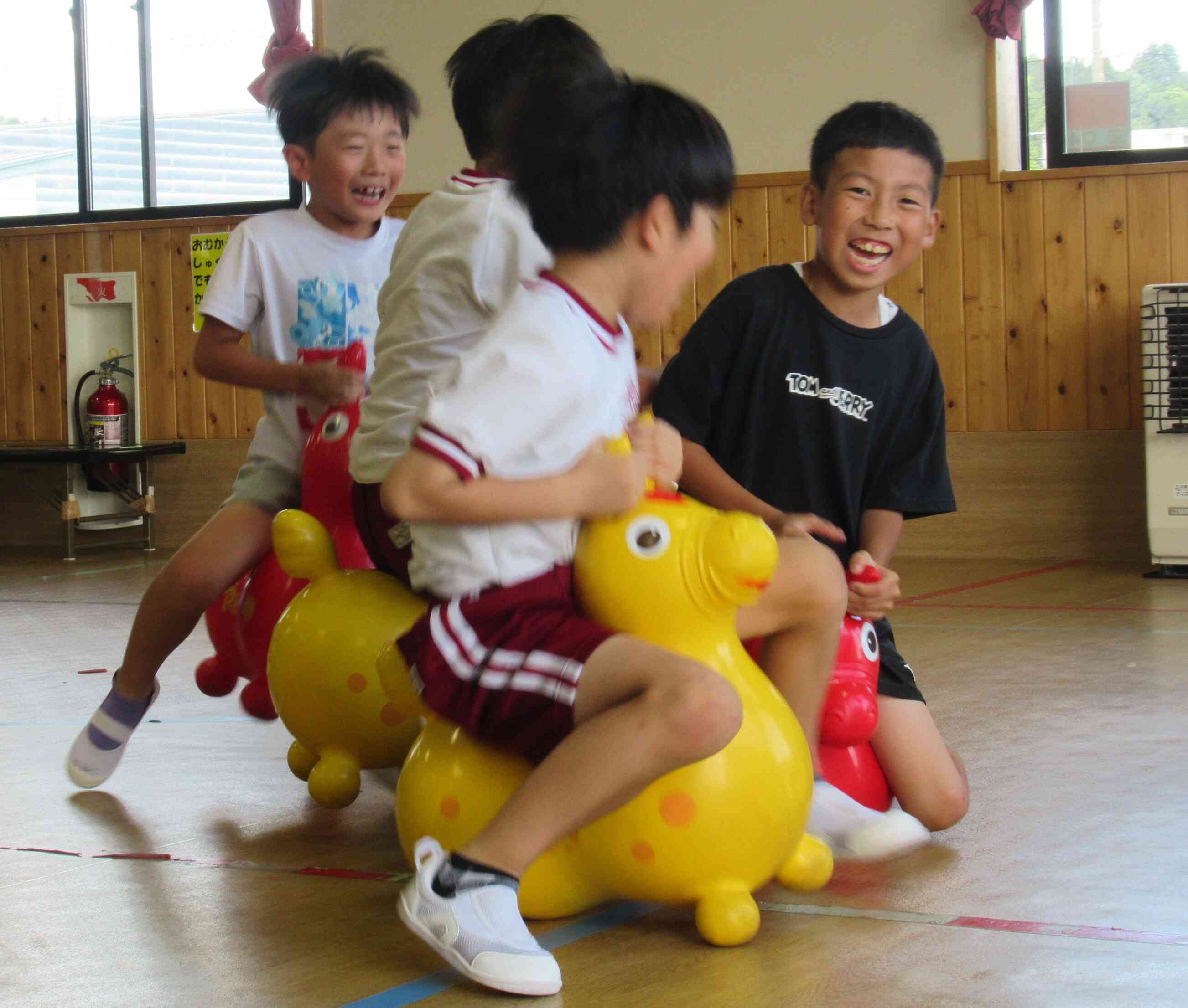 (中国)児童の生活４種完 アイシア おさかな生活シニア猫用まぐろ（4571104719687）｜猫