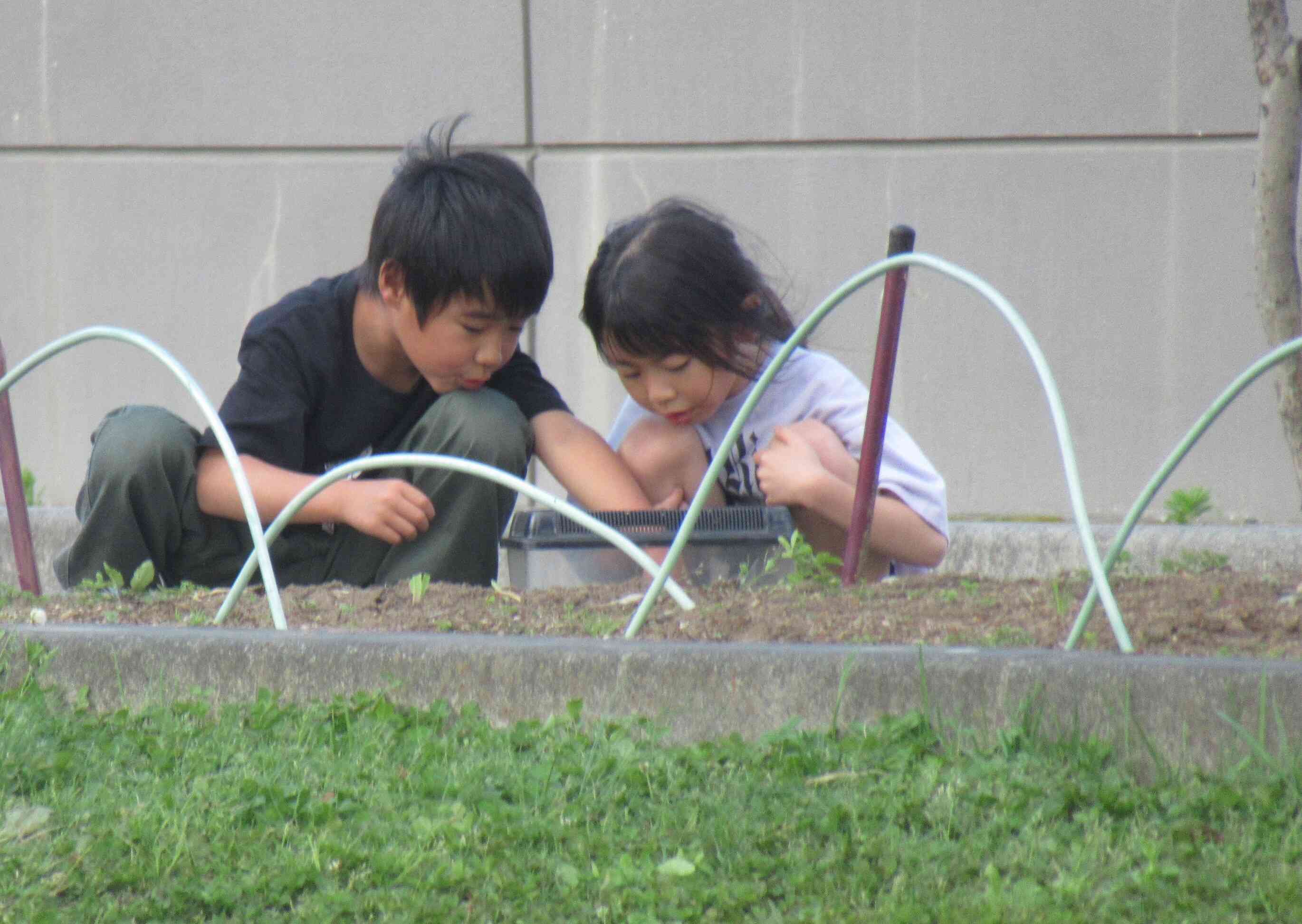何を見つけたのかな⁉