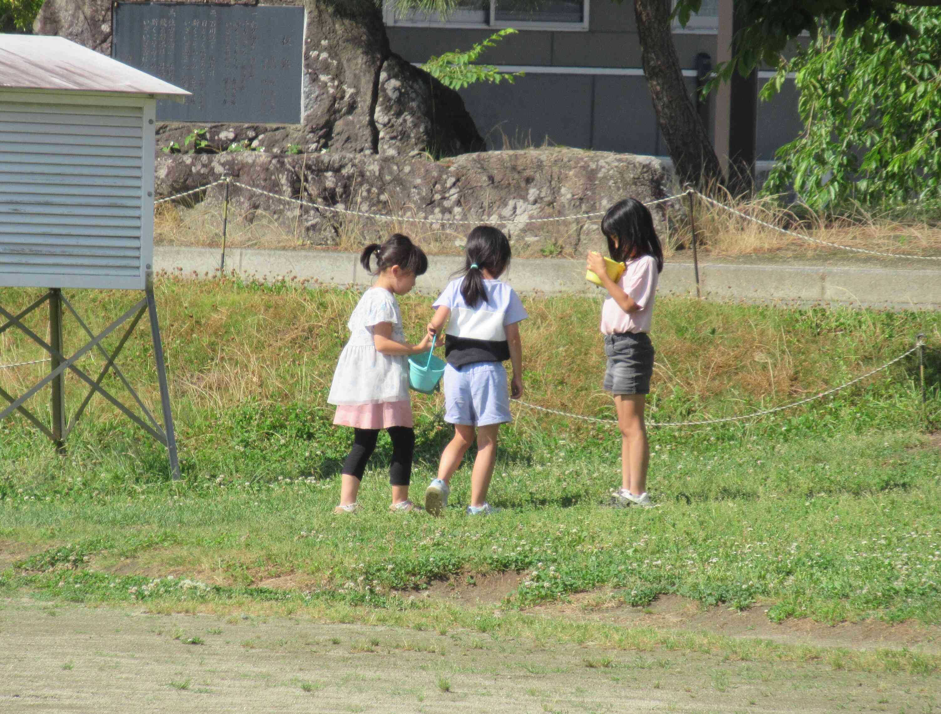自然の中で