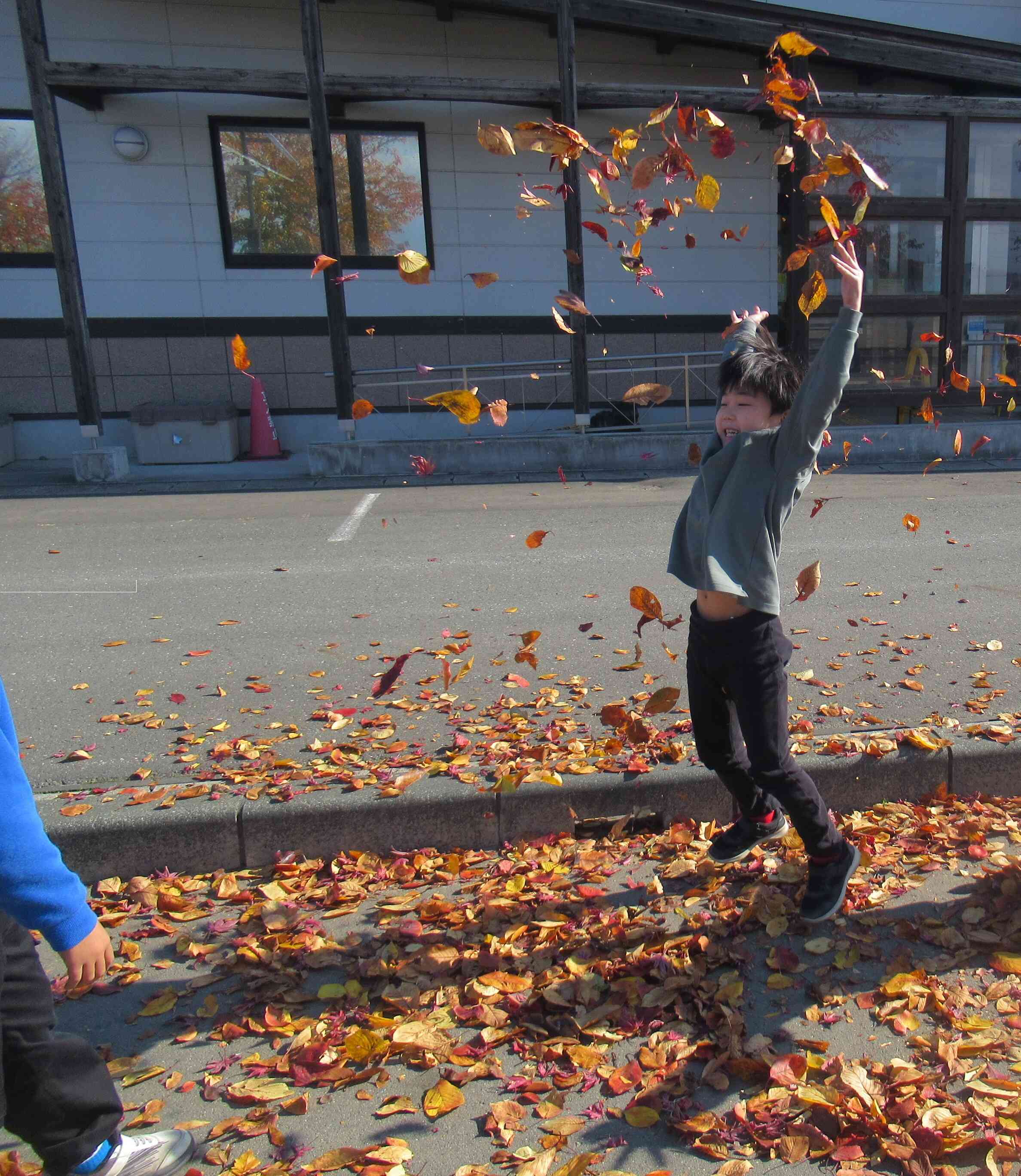 秋の夕日に照らされて