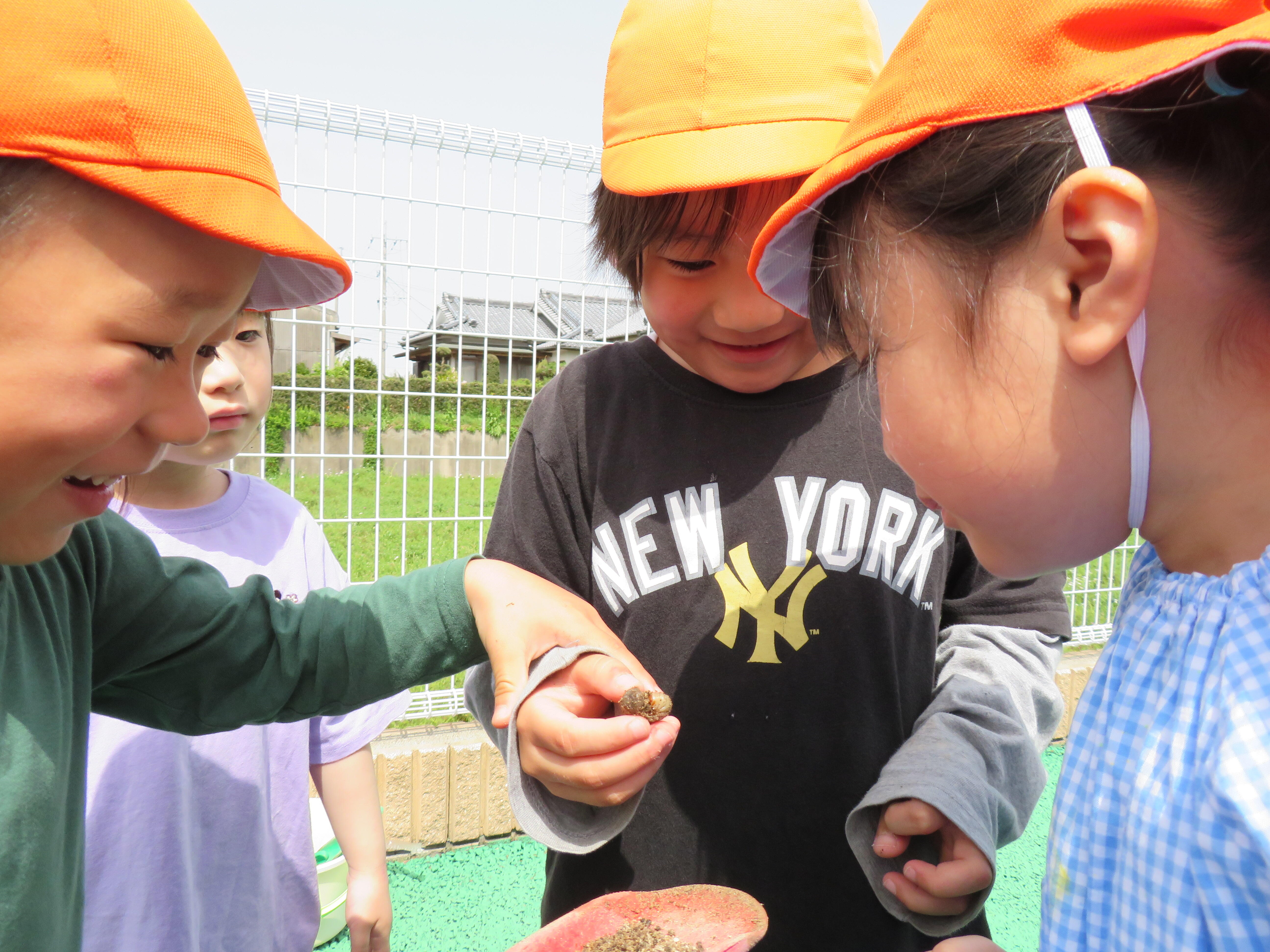 幼虫を発見！みんなわくわく！