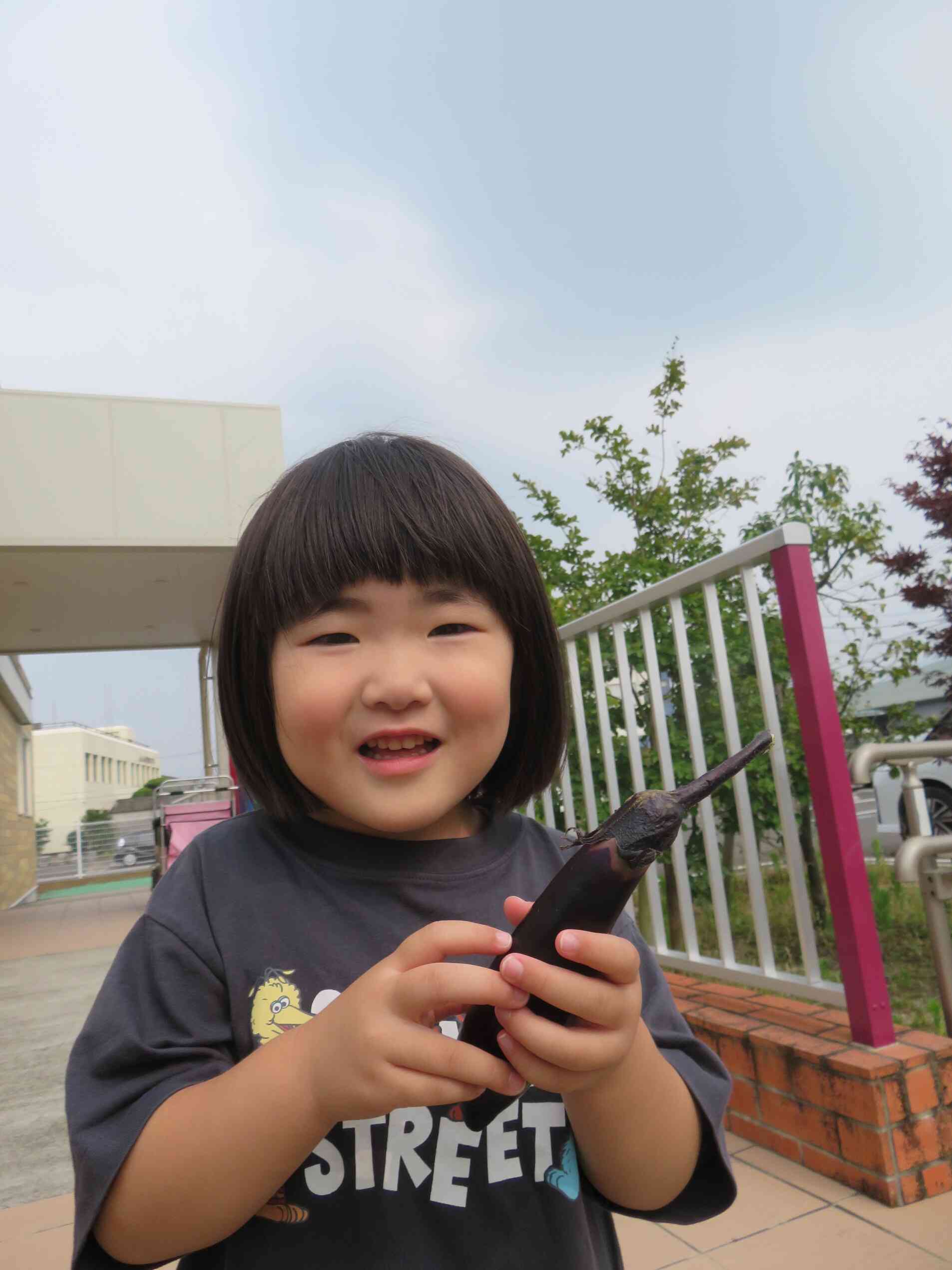 食育【野菜の収穫】
