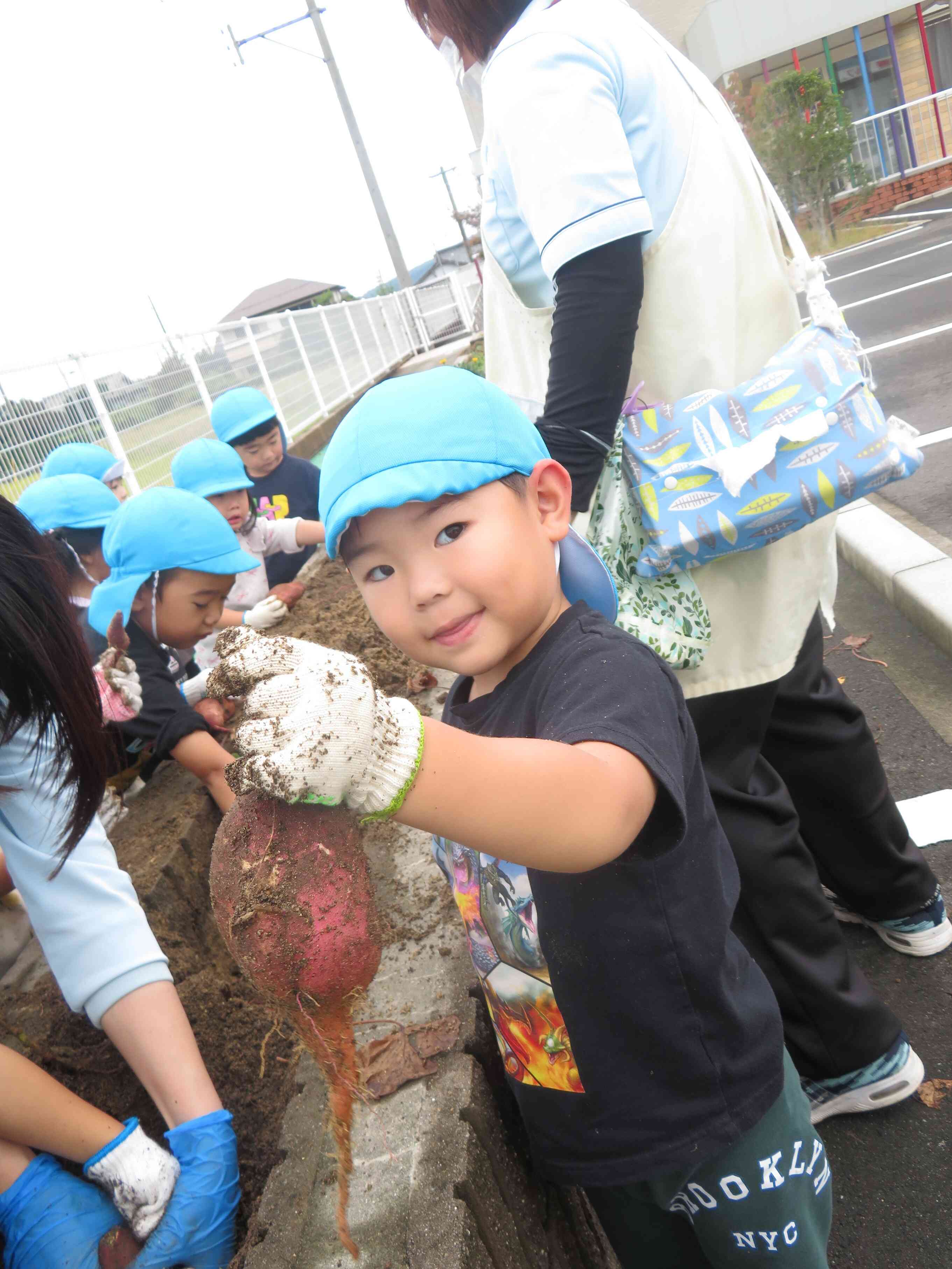 「見て見て！」と大きいお芋を見せてくれました