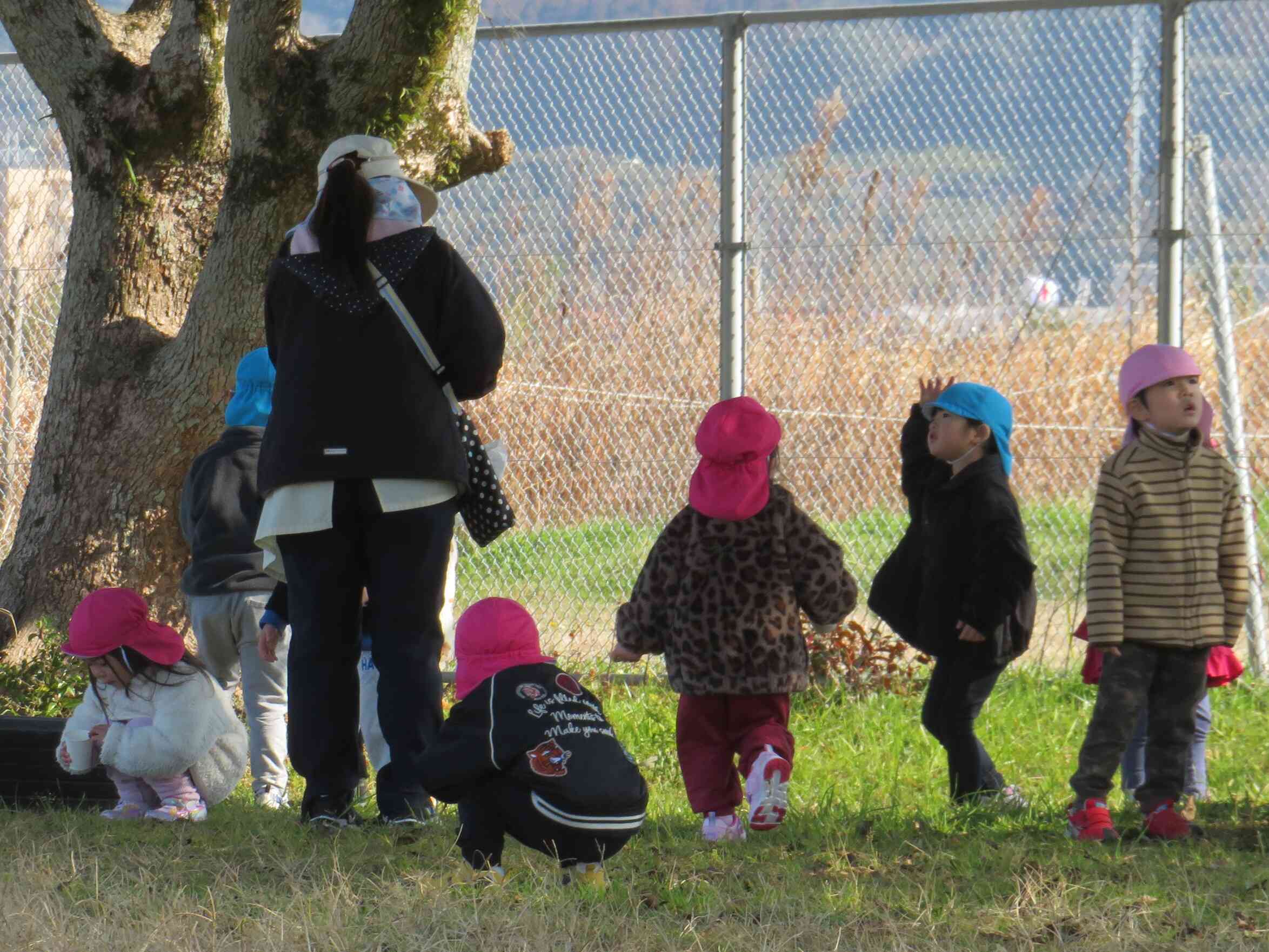 おさんぽ～うさぎ組・りす組～