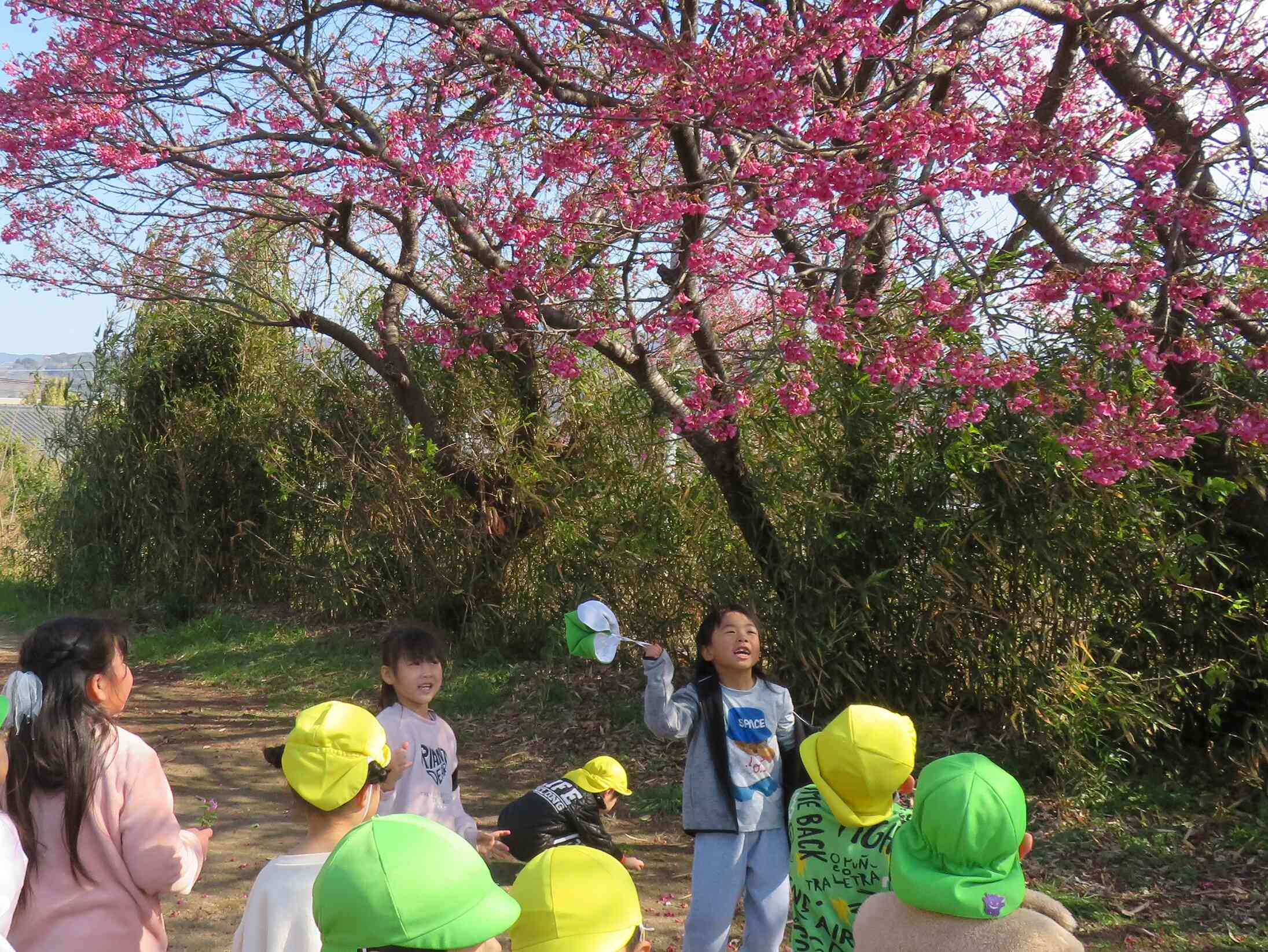 おさんぽ~ぱんだ組・きりん組~