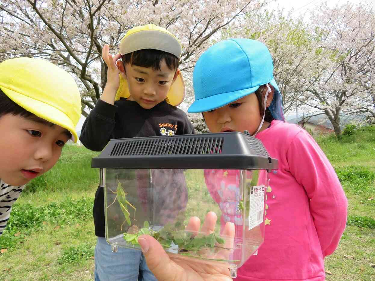 バッタみ～つけた‼