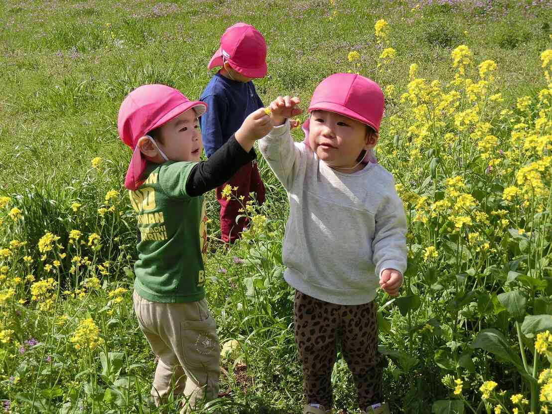 お散歩（春をさがしに♪）