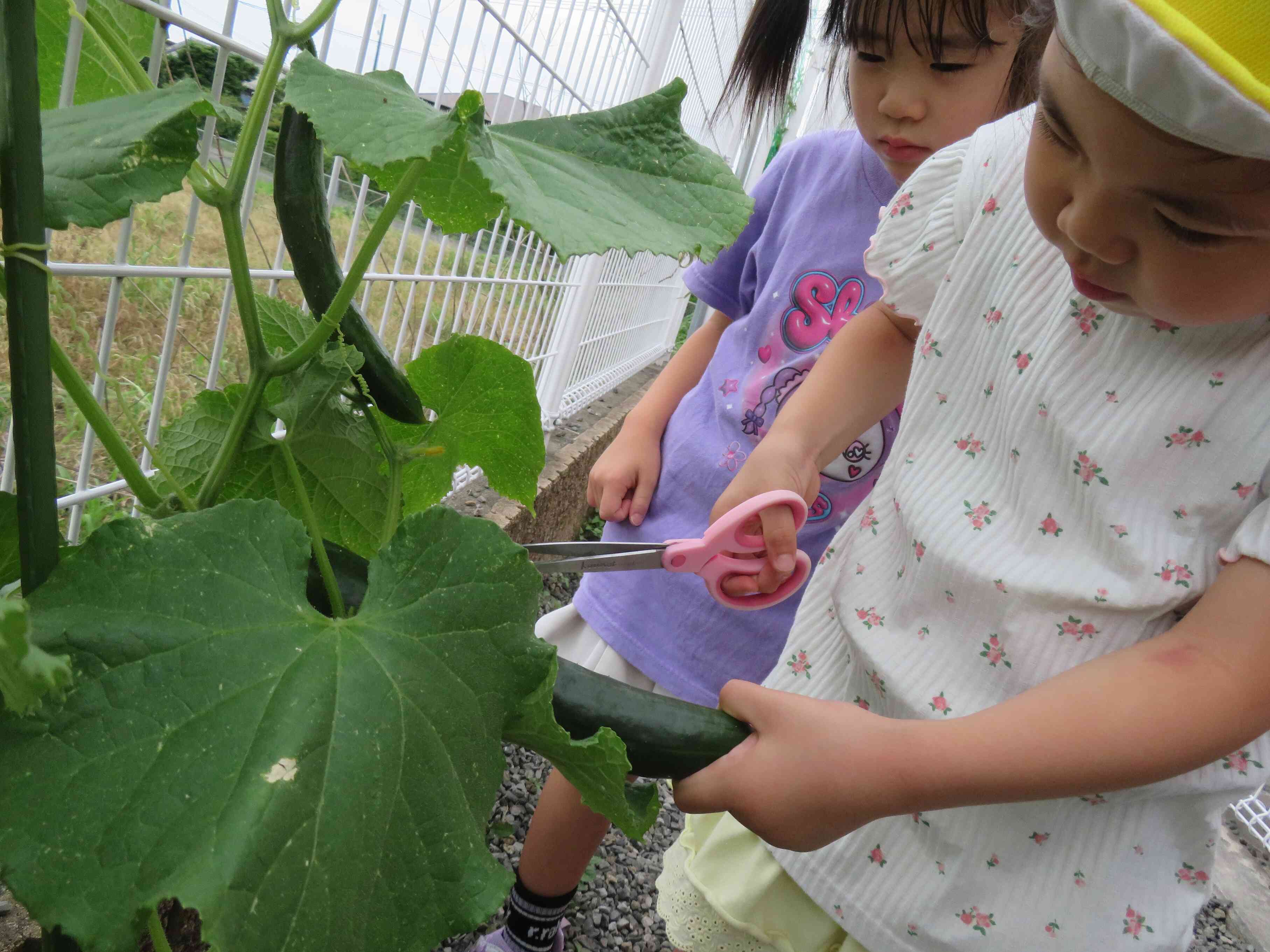 慎重に…