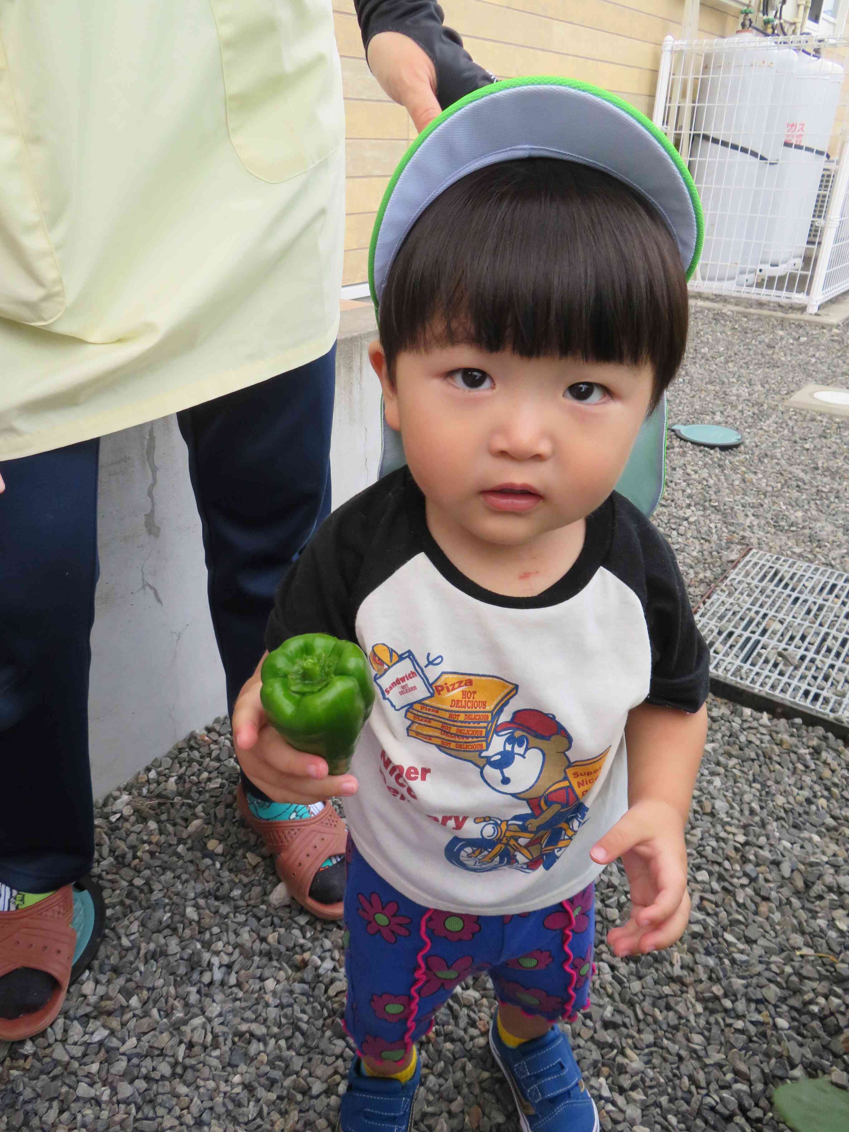 きれいなお野菜ですね！