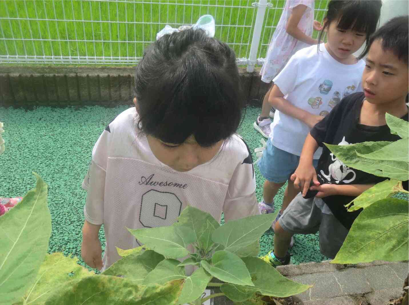 まだかな～？