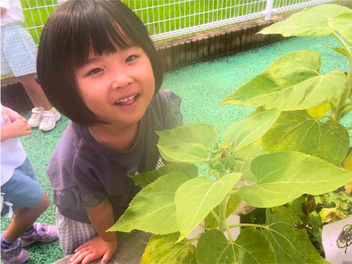 大きくなってるよ♪