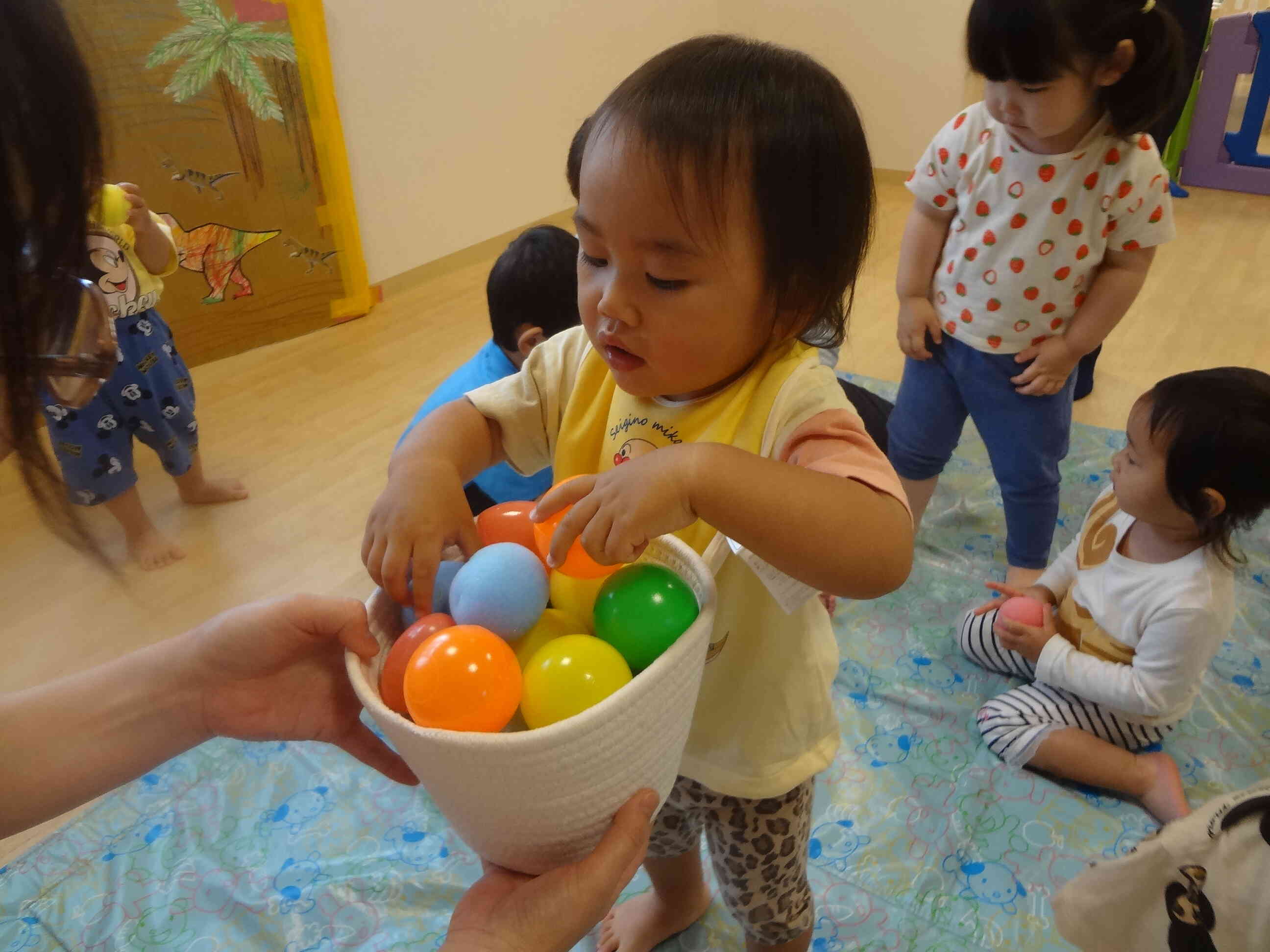 ボールがたくさん嬉しいな～♫