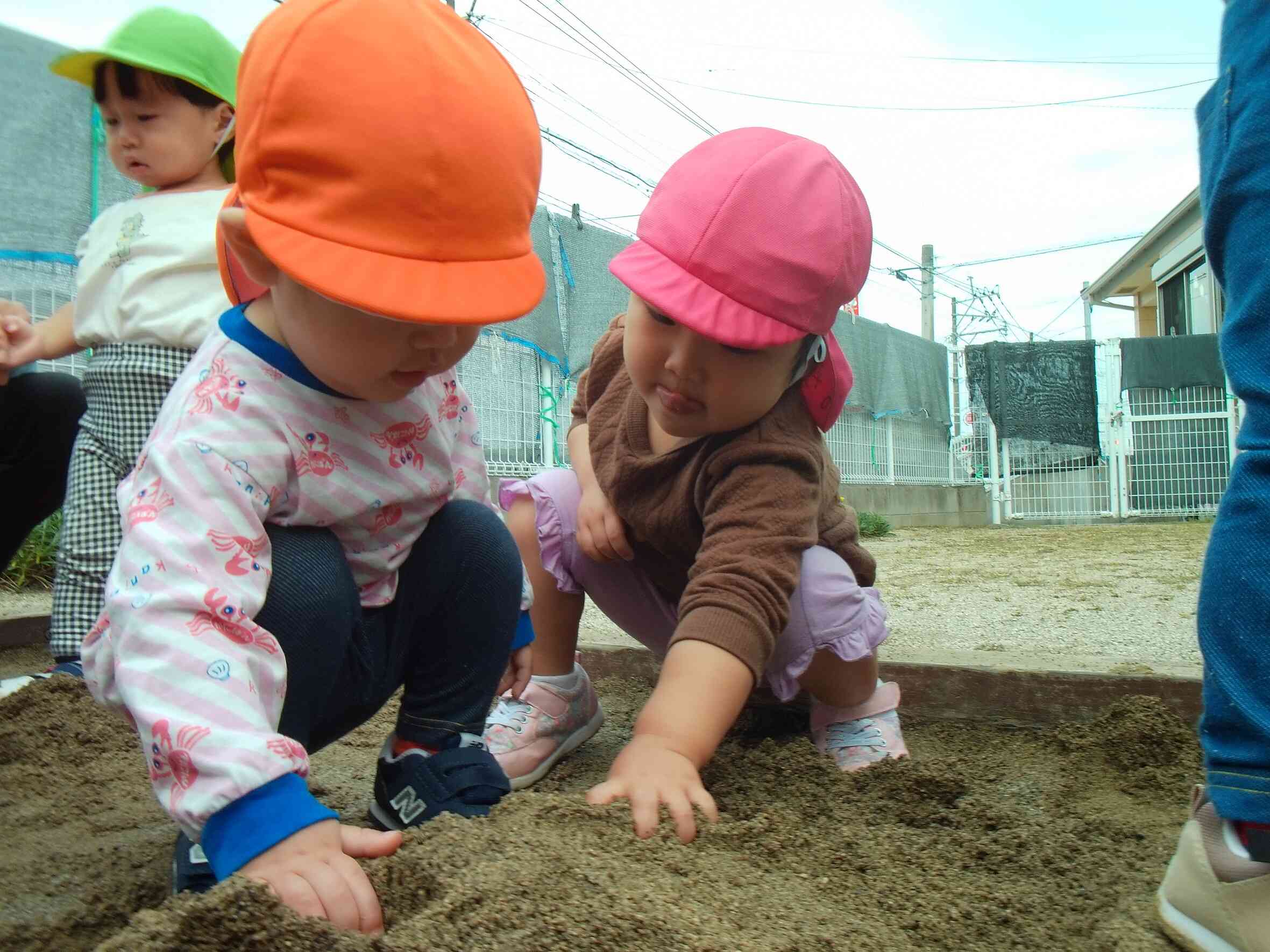 お芋どこにあるかな～？？