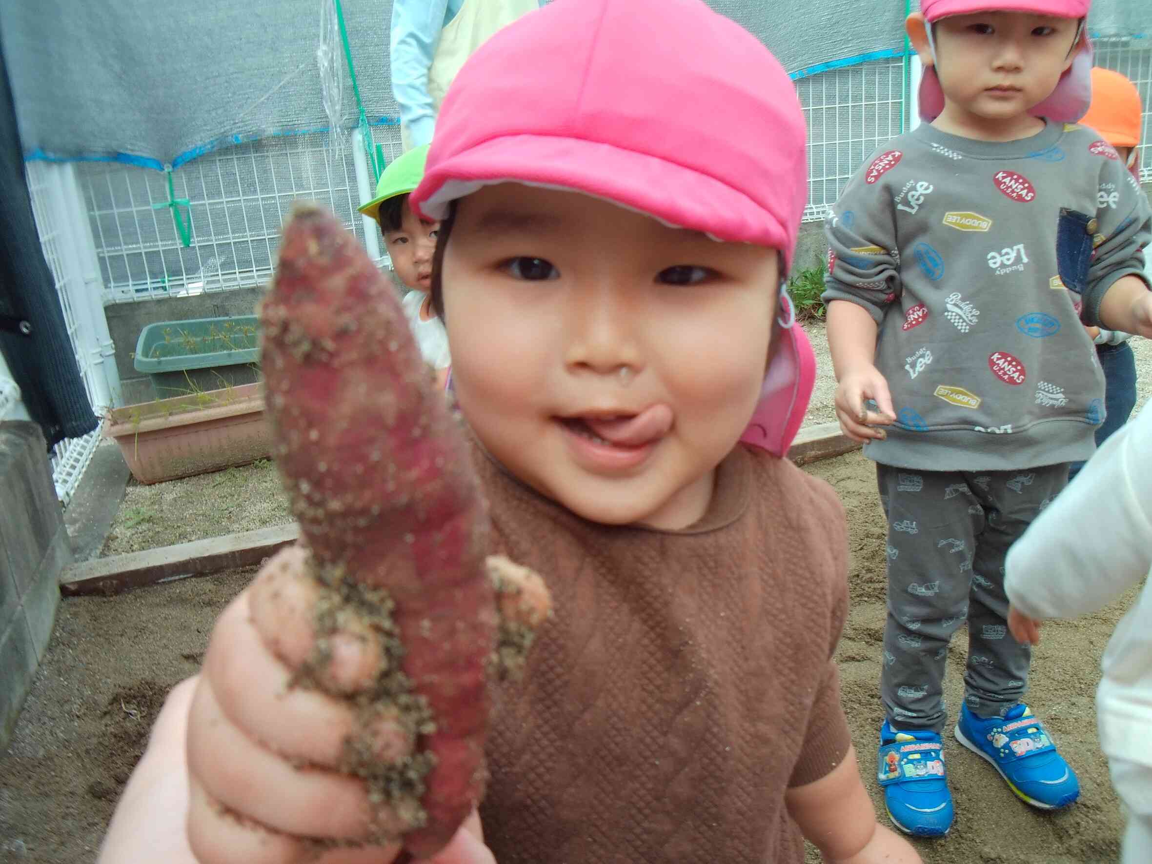 おいしそうなお芋だね！