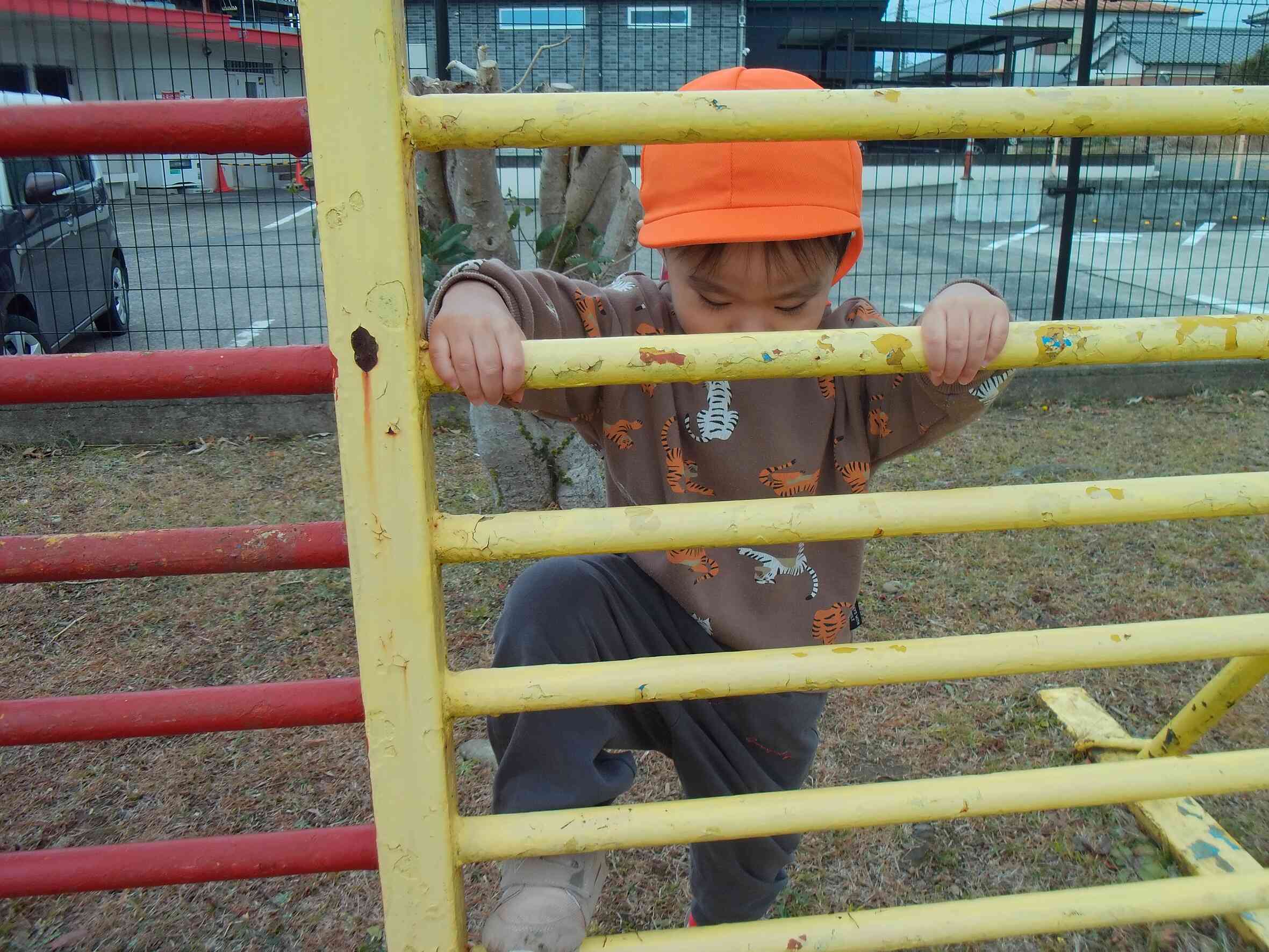 よいしょよいしょ！