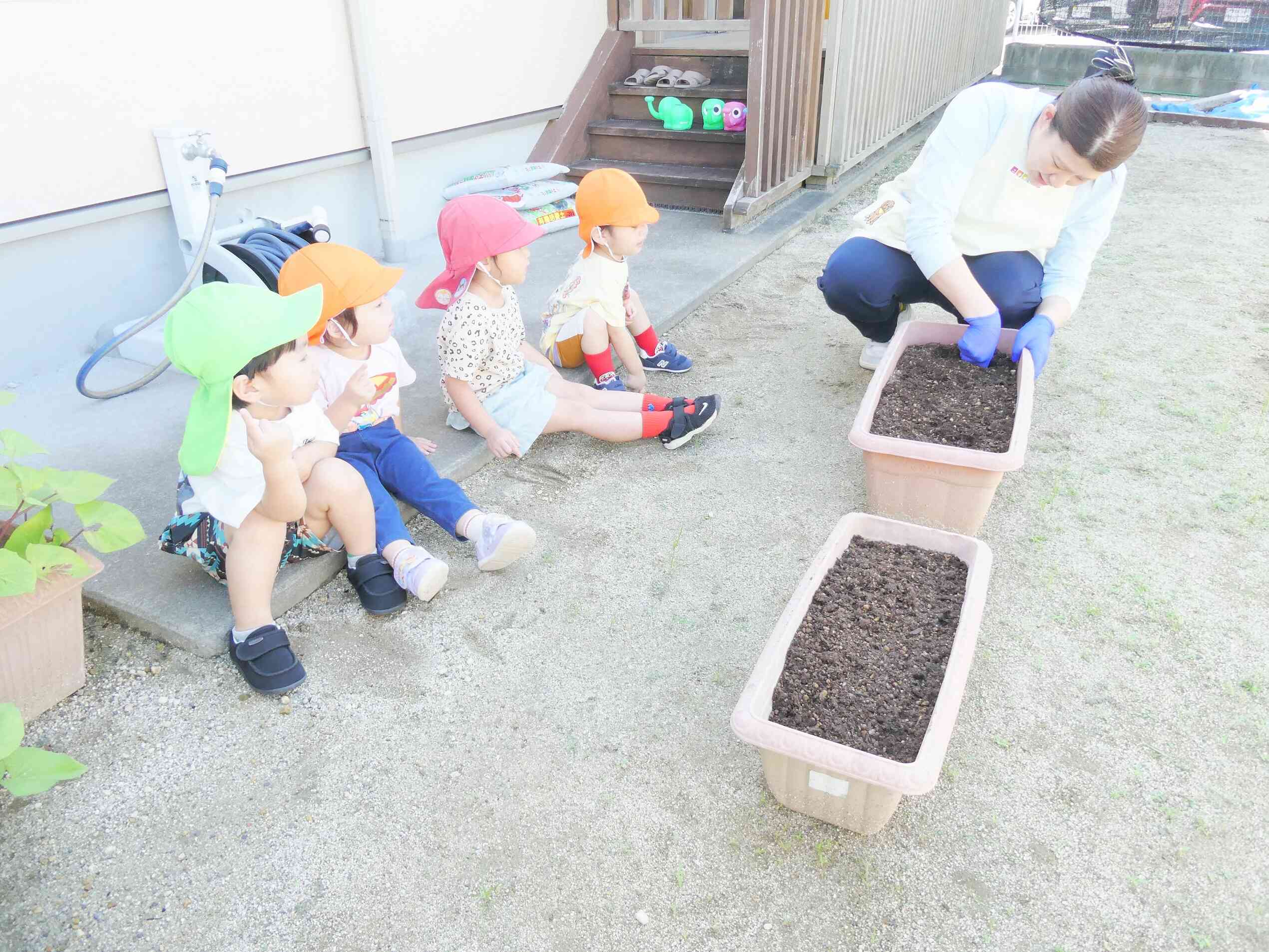 種まきしました☆
