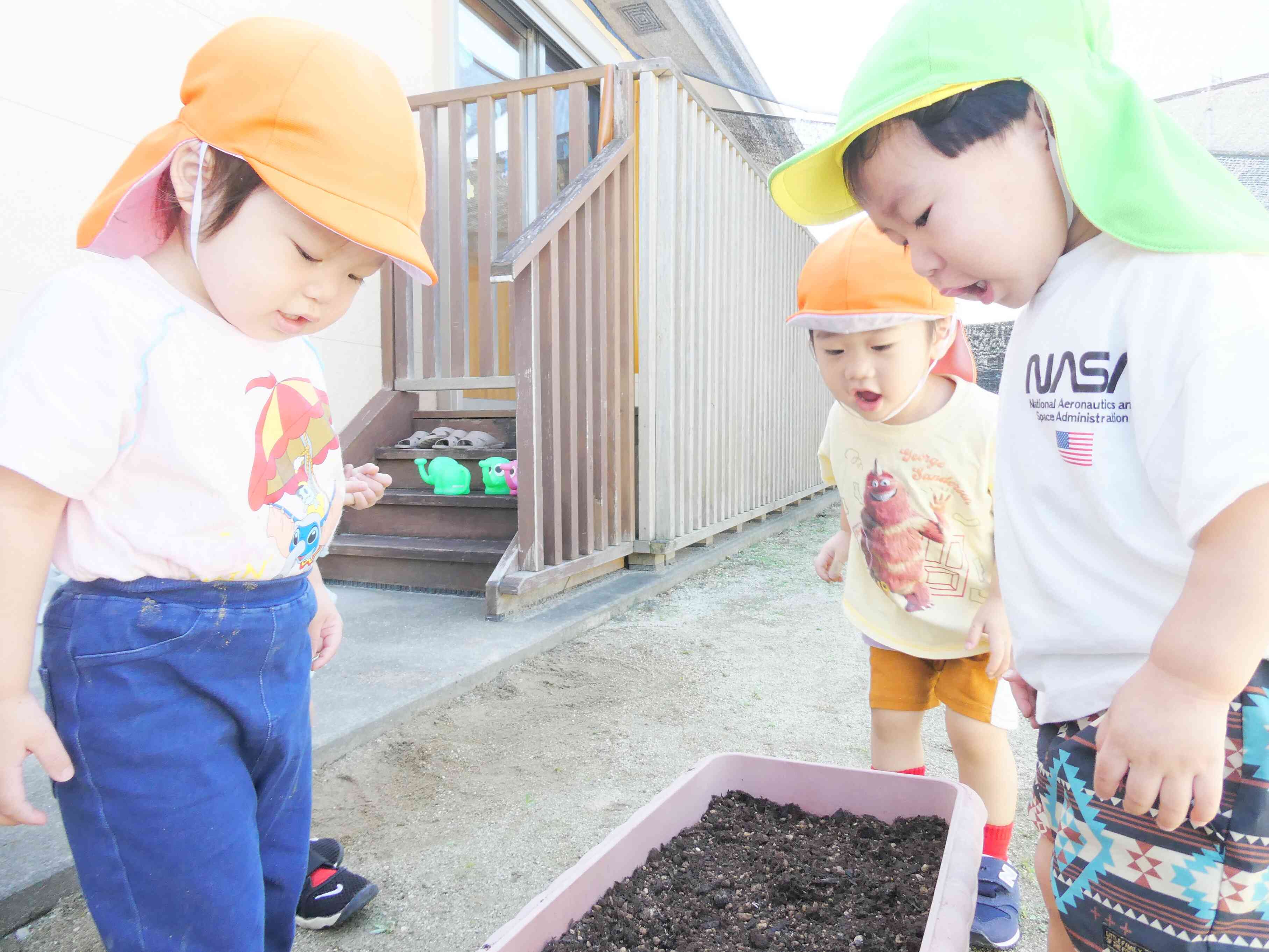 大きくな～れ！とうさぎ組の子ども達♡とっても可愛いです(*^^*)