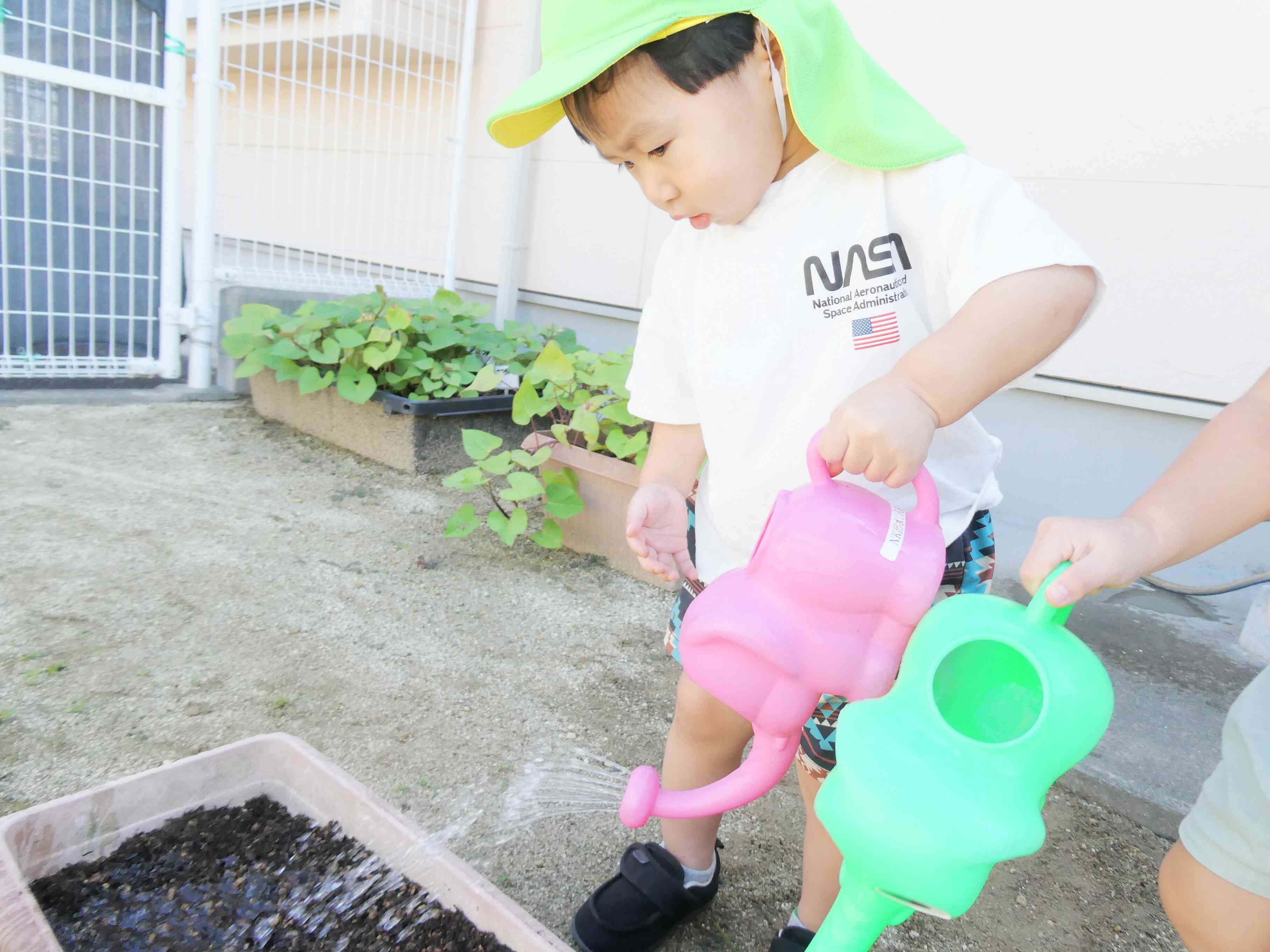 お水もかけるよ☆