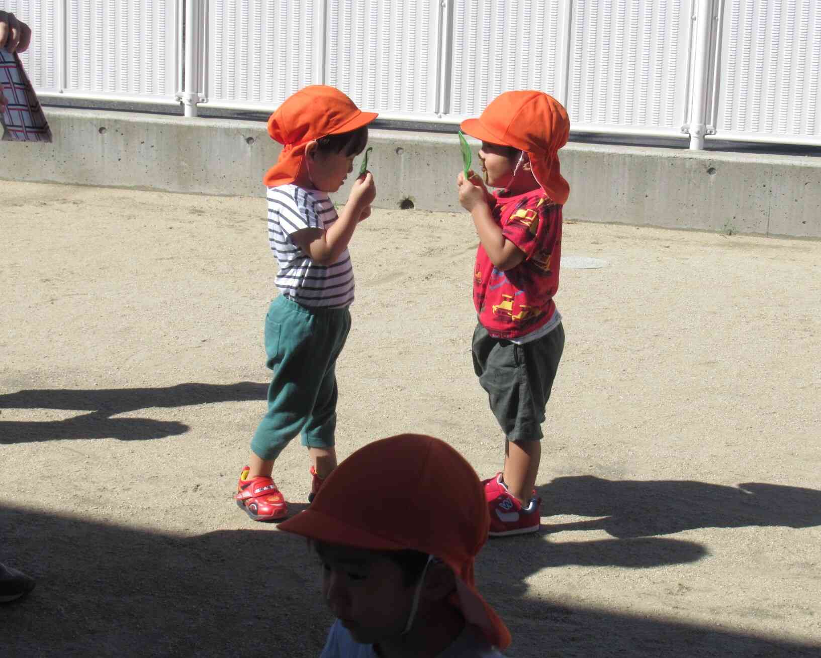 お友だちと見せ合いっこして「どんな色に見える？」「みどり色だよ～」