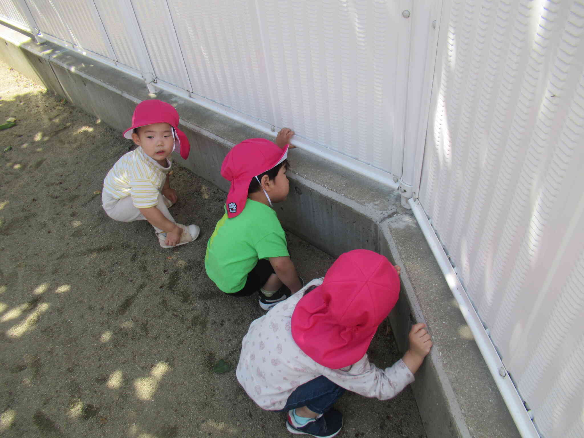 何を見つけた？