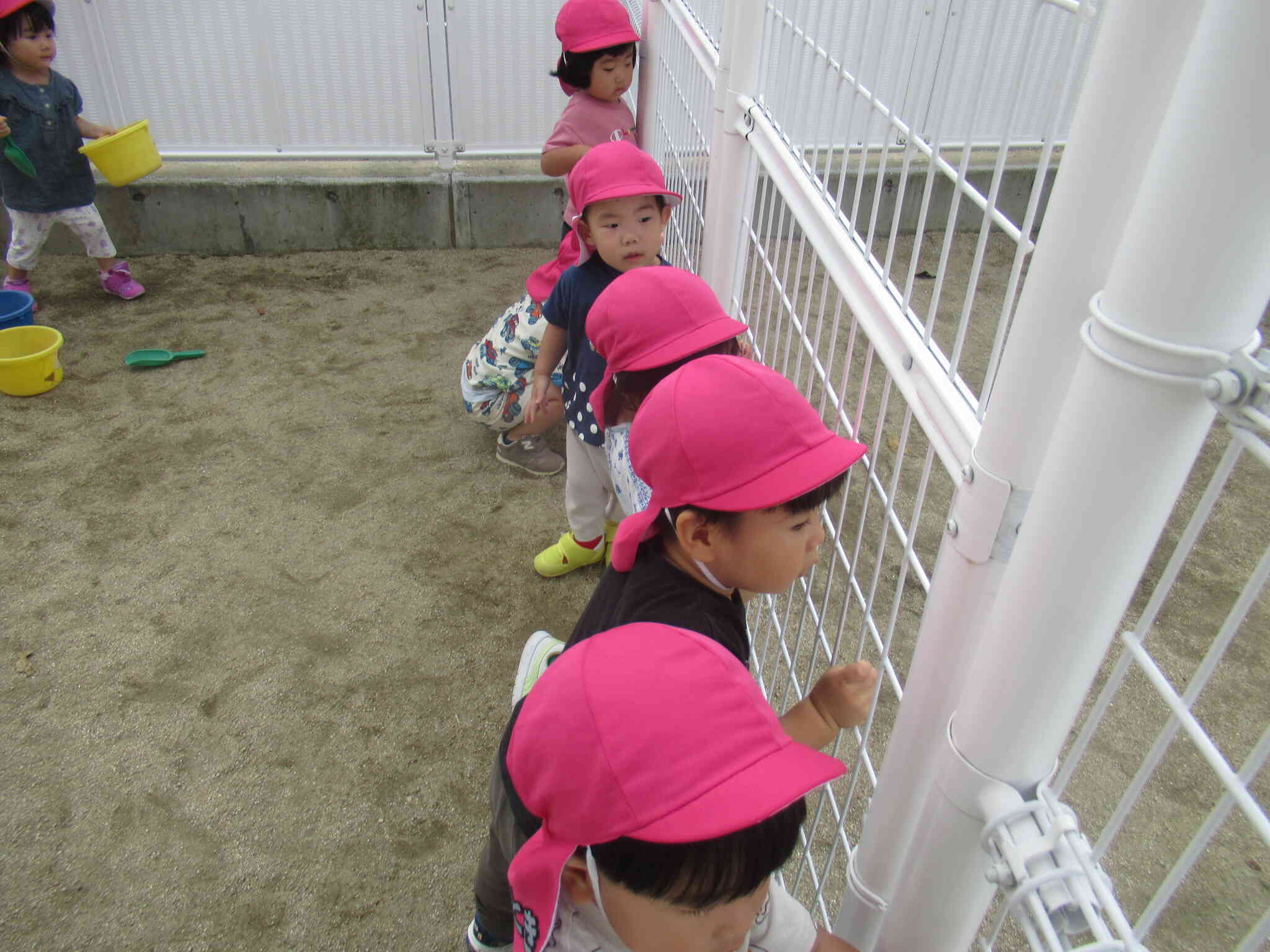 運動会の練習見学中のあひる組さん…みんな上手だね