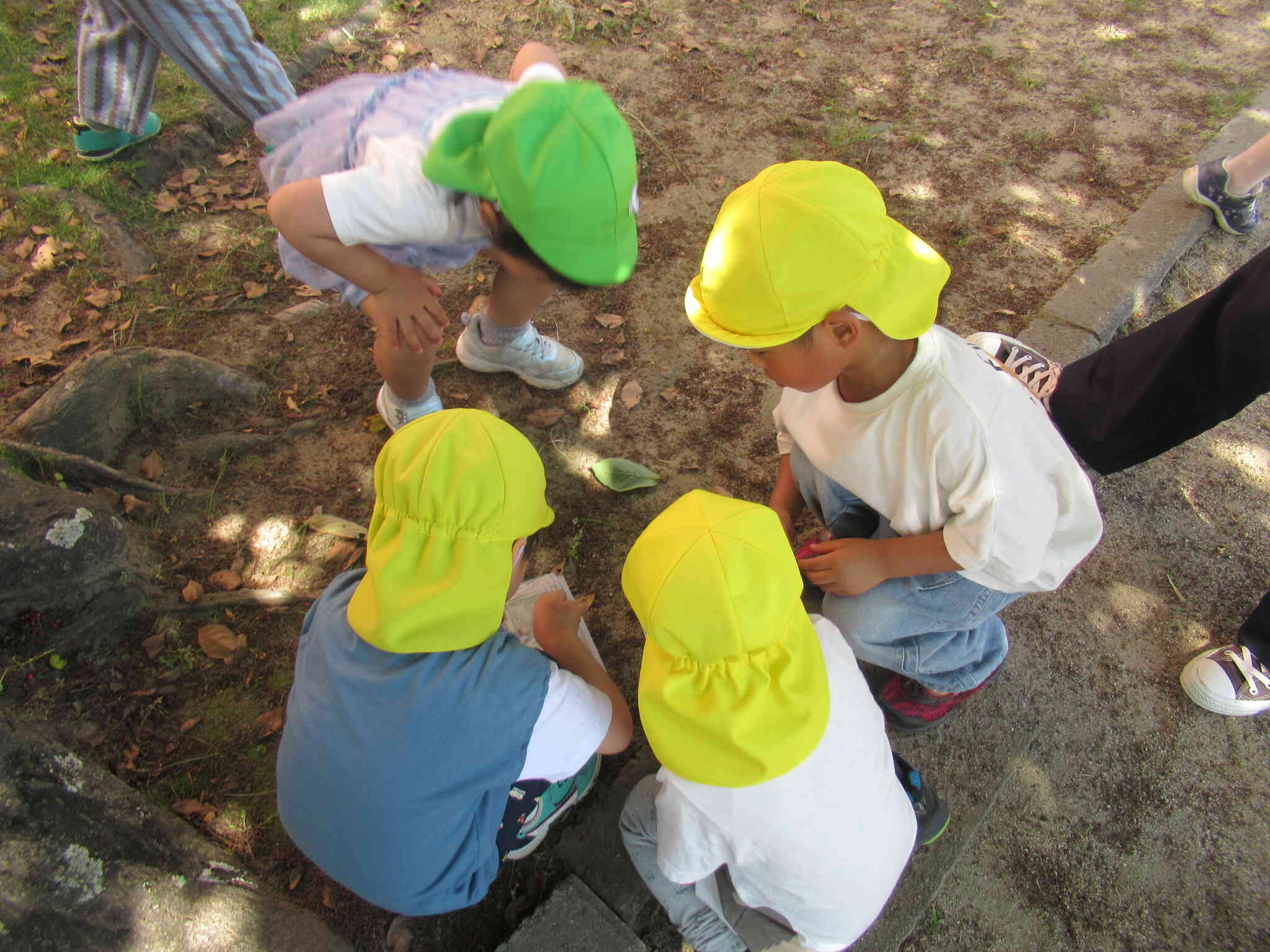 公園で目に留まった何かの幼虫？熱心な観察ぶりです。