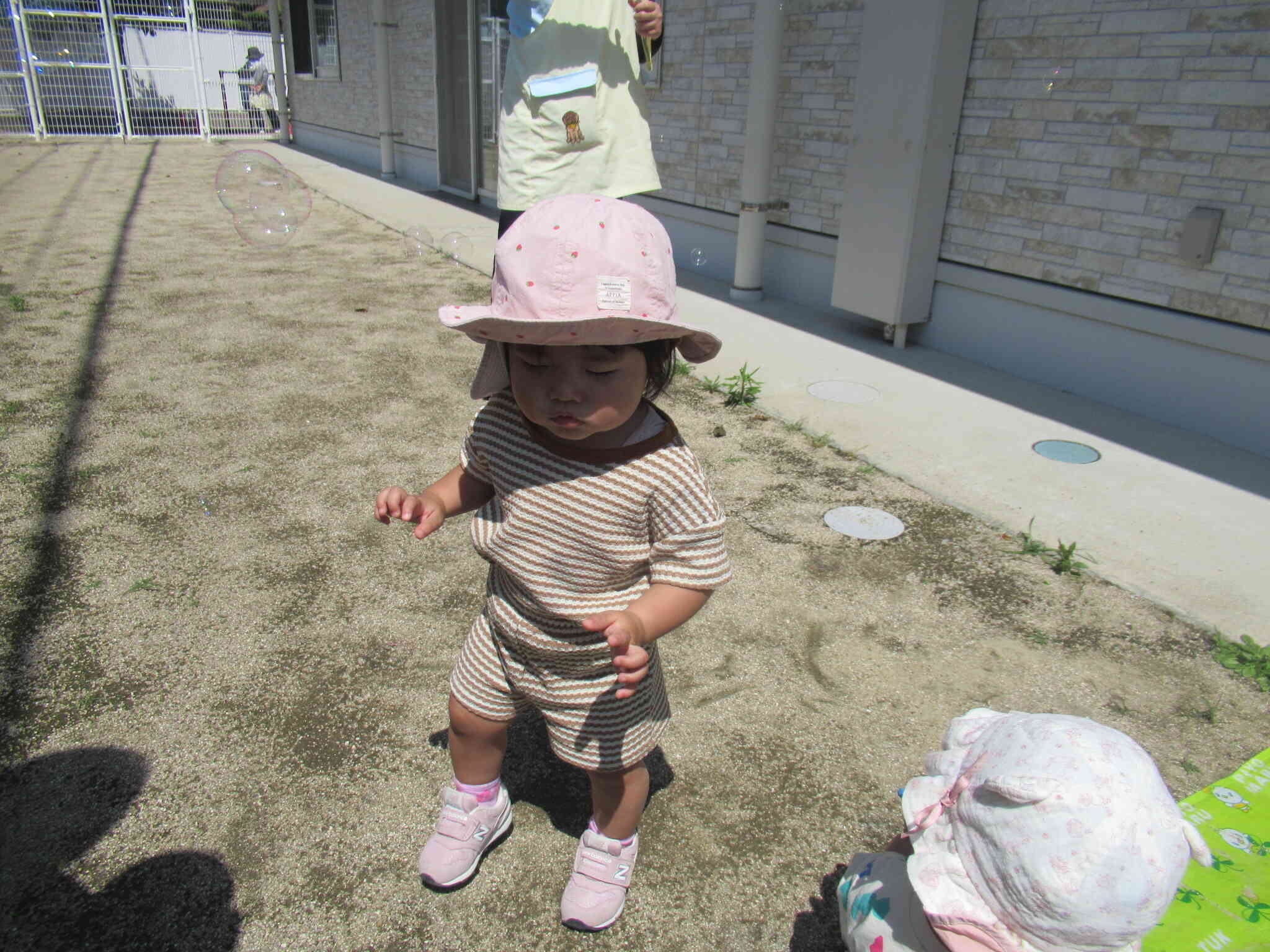 お散歩も出来るようになったよ♪
