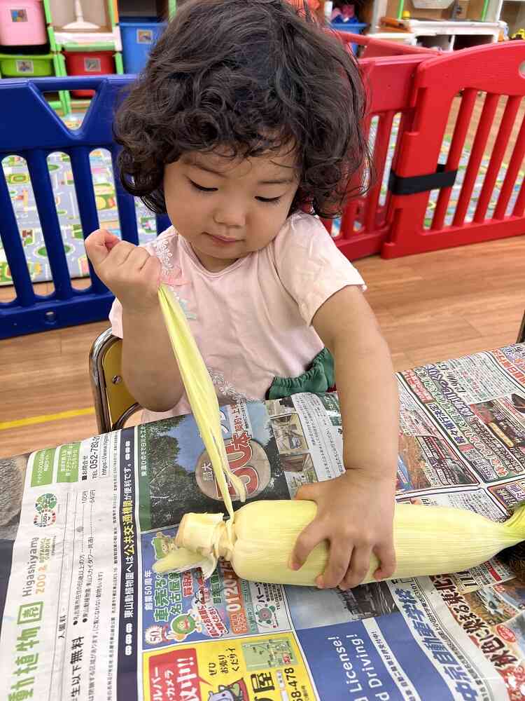 夏の食材に触れよう！