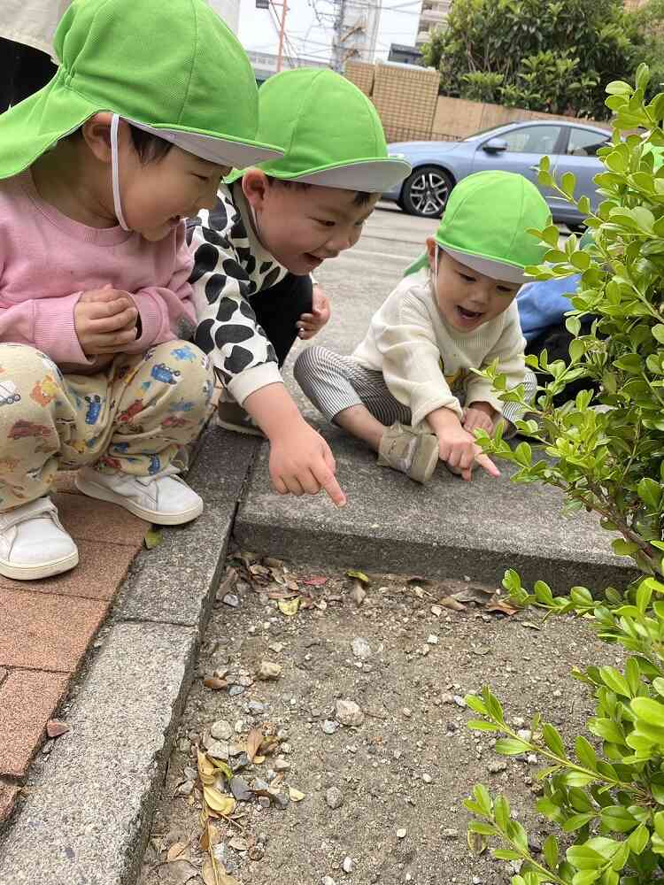 おもいっきり遊びます！