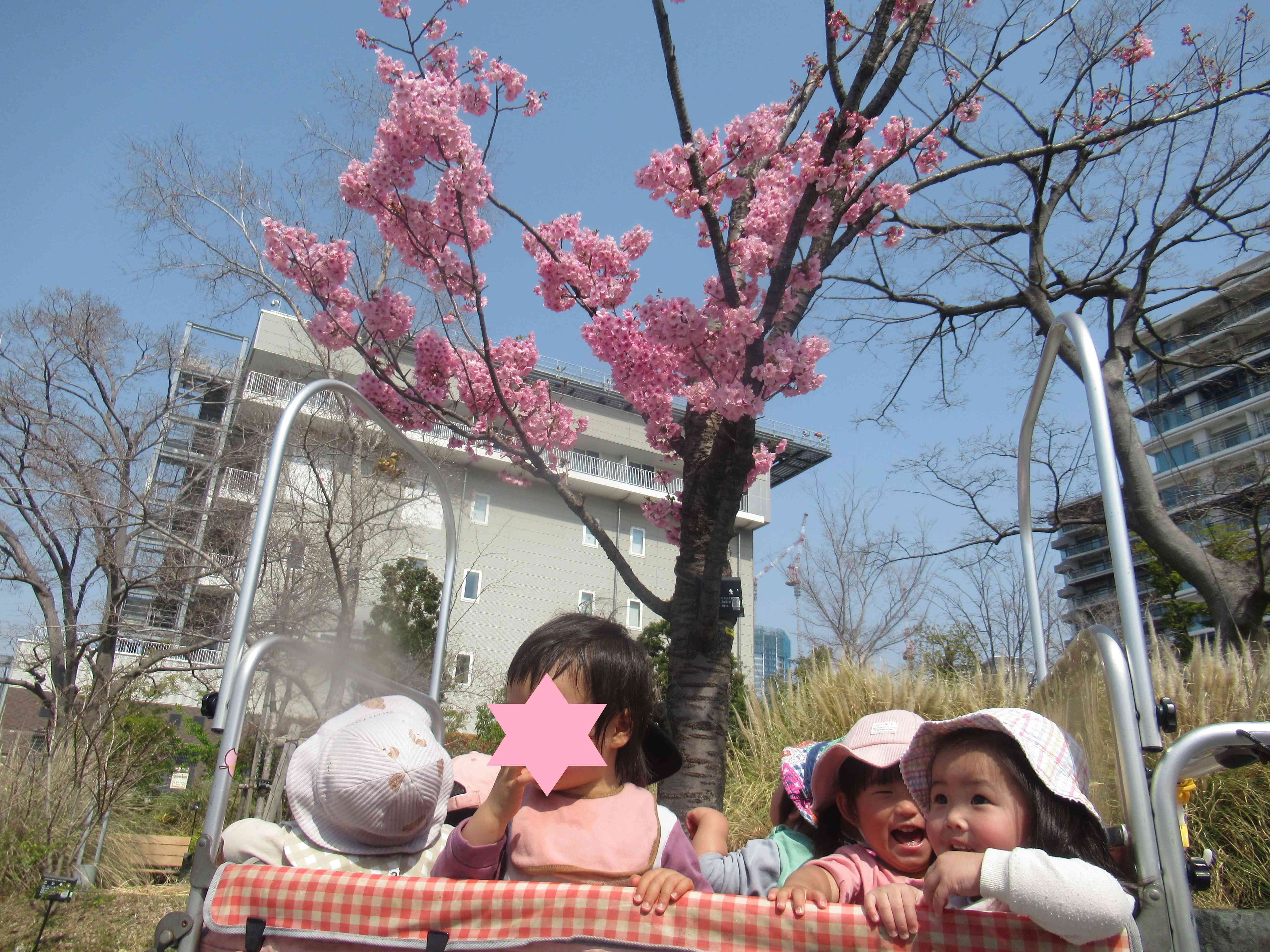 みんなで桜も見れました！