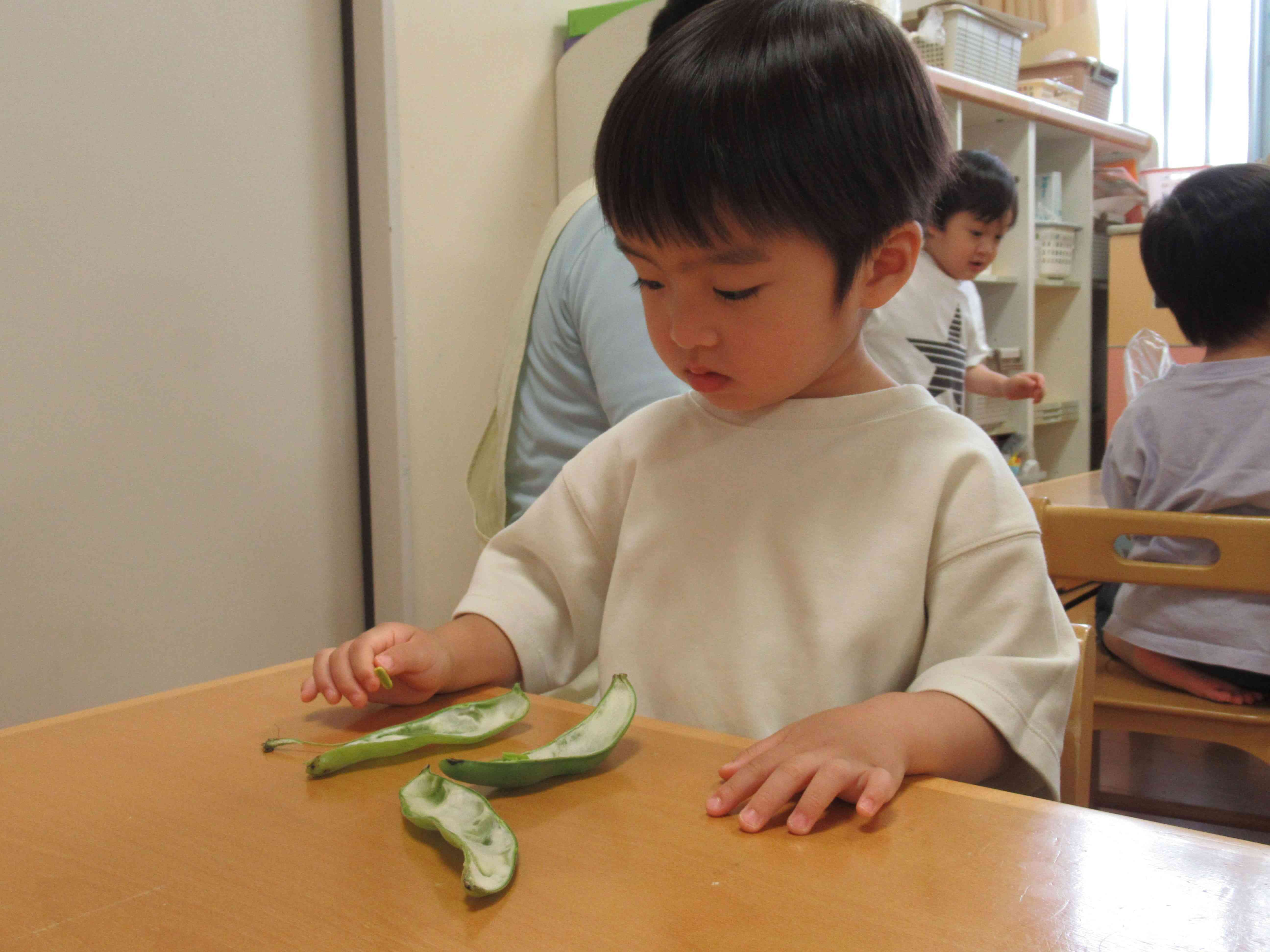 お豆の他にも何か見つけたようですね！