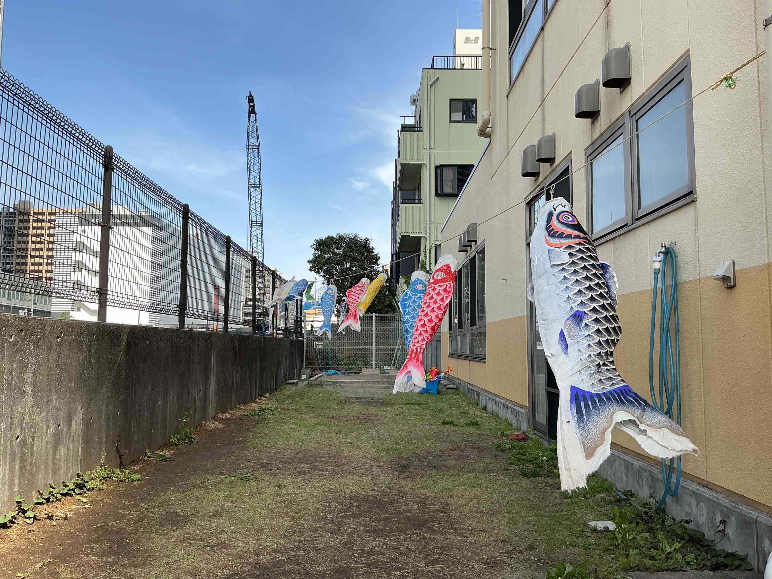 ５月１日　こどもの日集会3．4．5歳児（ぱんだ組、きりん組、ぞう組）
