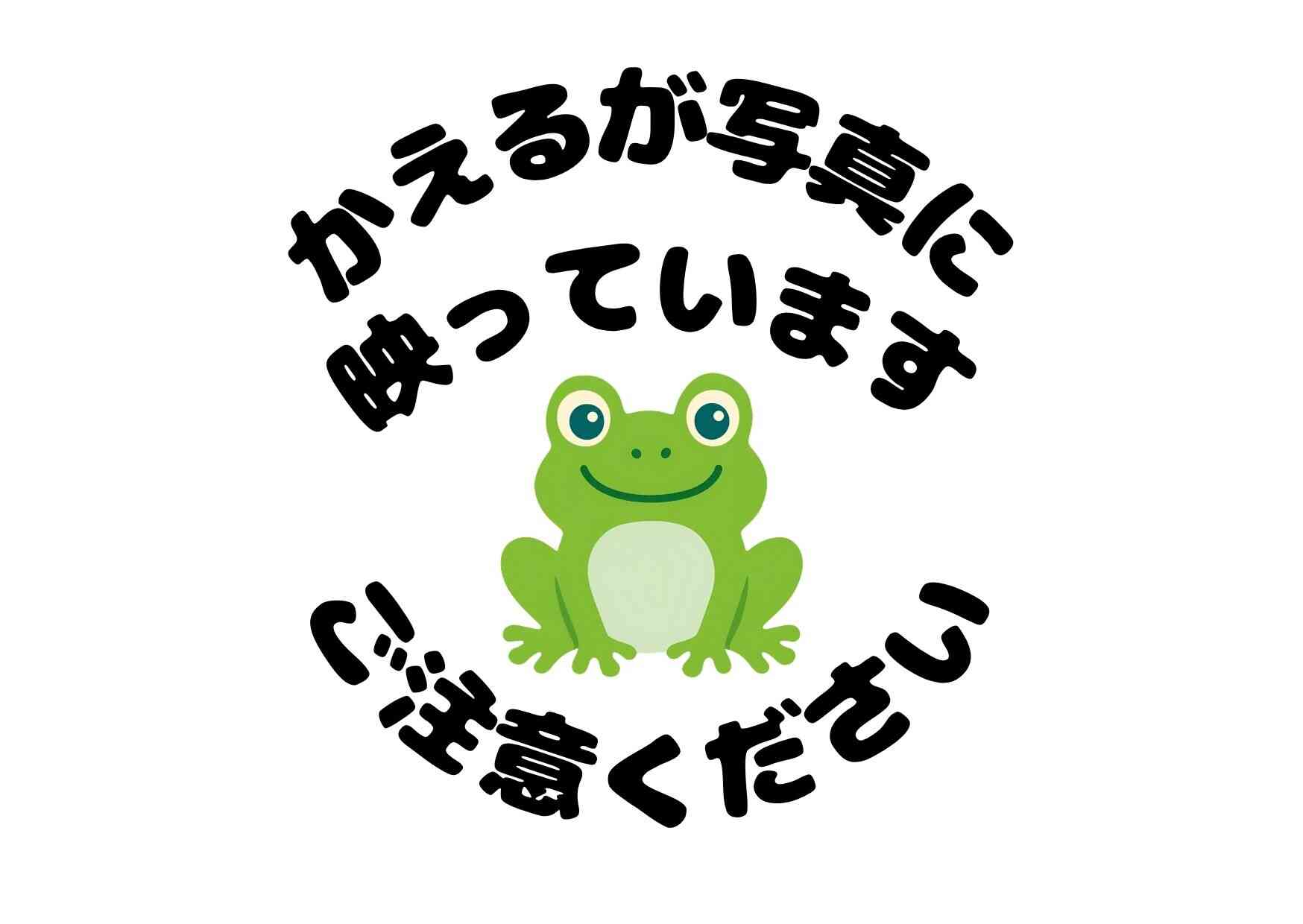 かえるの友だちができました!(0歳児ひよこ組)